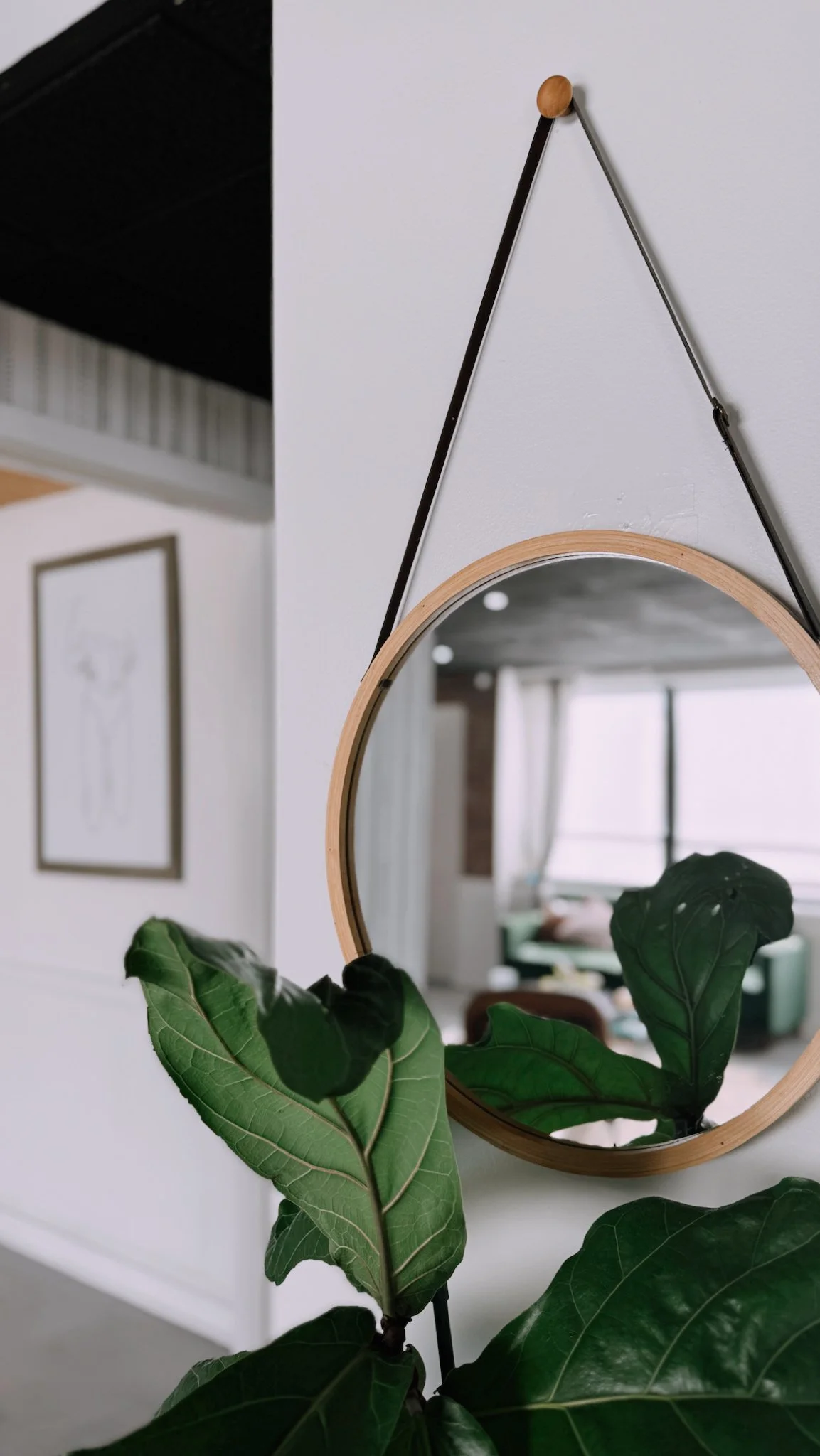 A round wall mirror with a light wooden frame hanging on a white wall, reflected in which are glimpses of a room with large windows and a black ceiling. There is a green plant with large dark green leaves in the foreground.