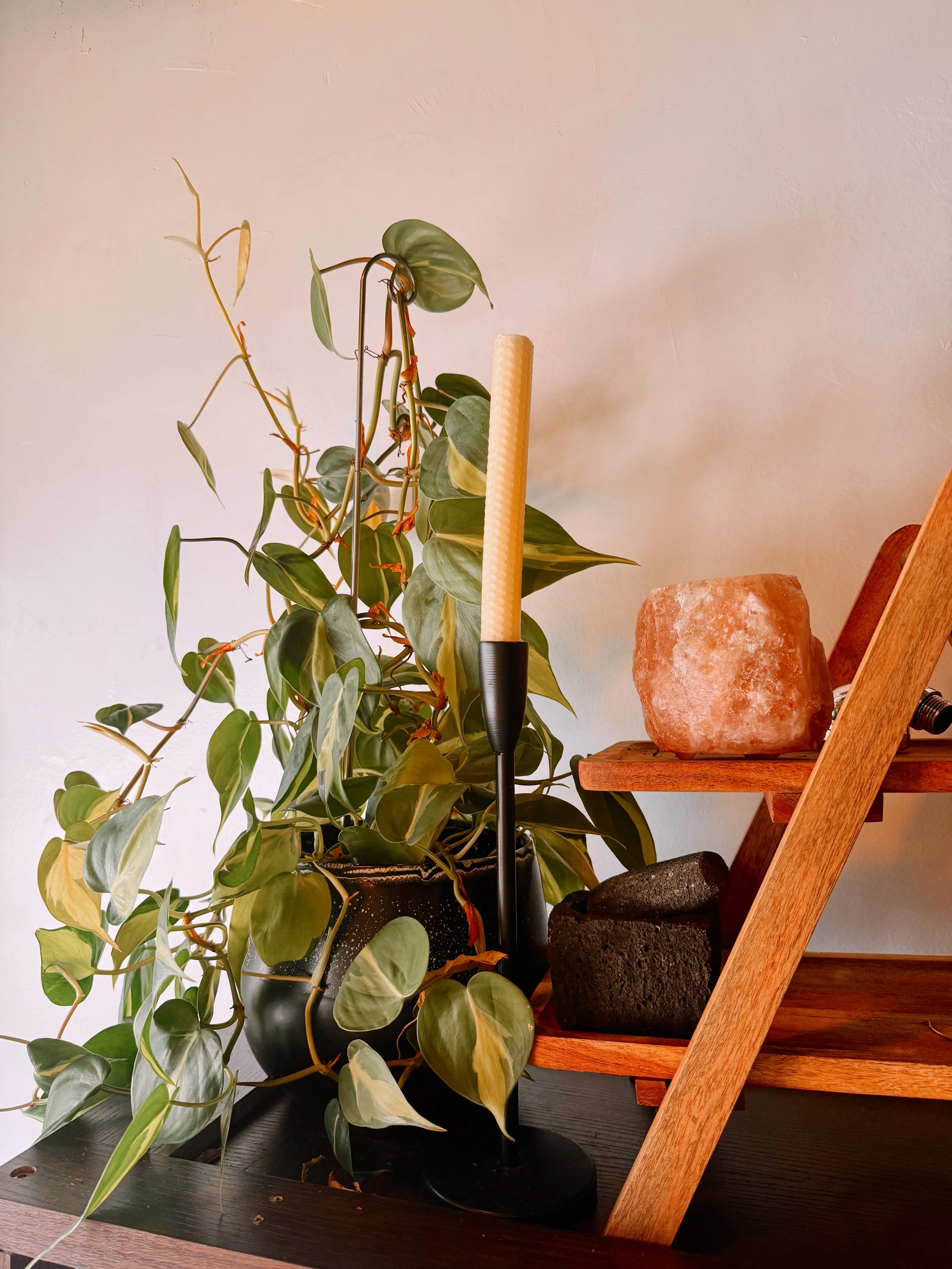 Indoor plant with trailing vines in a black pot, a candle with a textured pattern, mountain salt rocks, and wooden furniture with a white wall background.