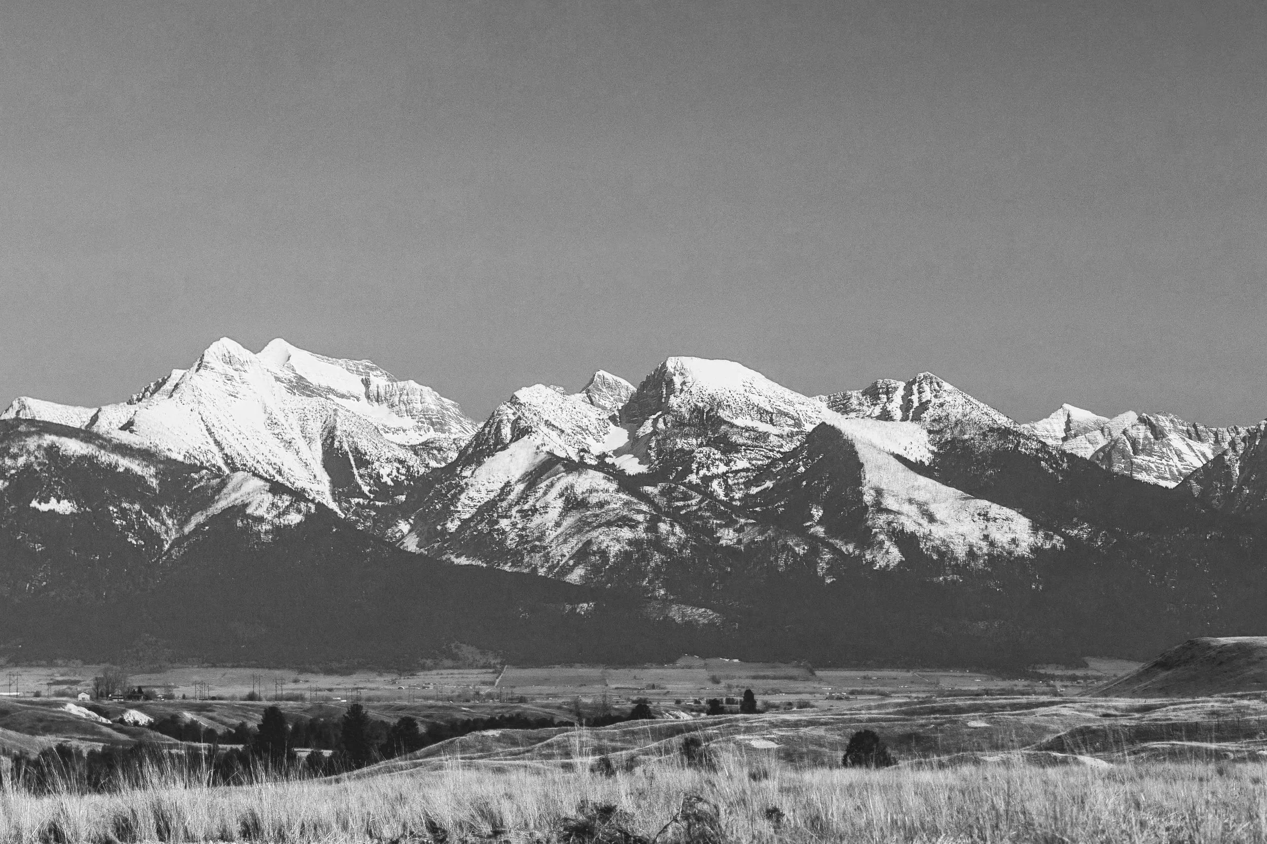 Snow-capped mountain range under a clear sky, with a grassy plain in the foreground.