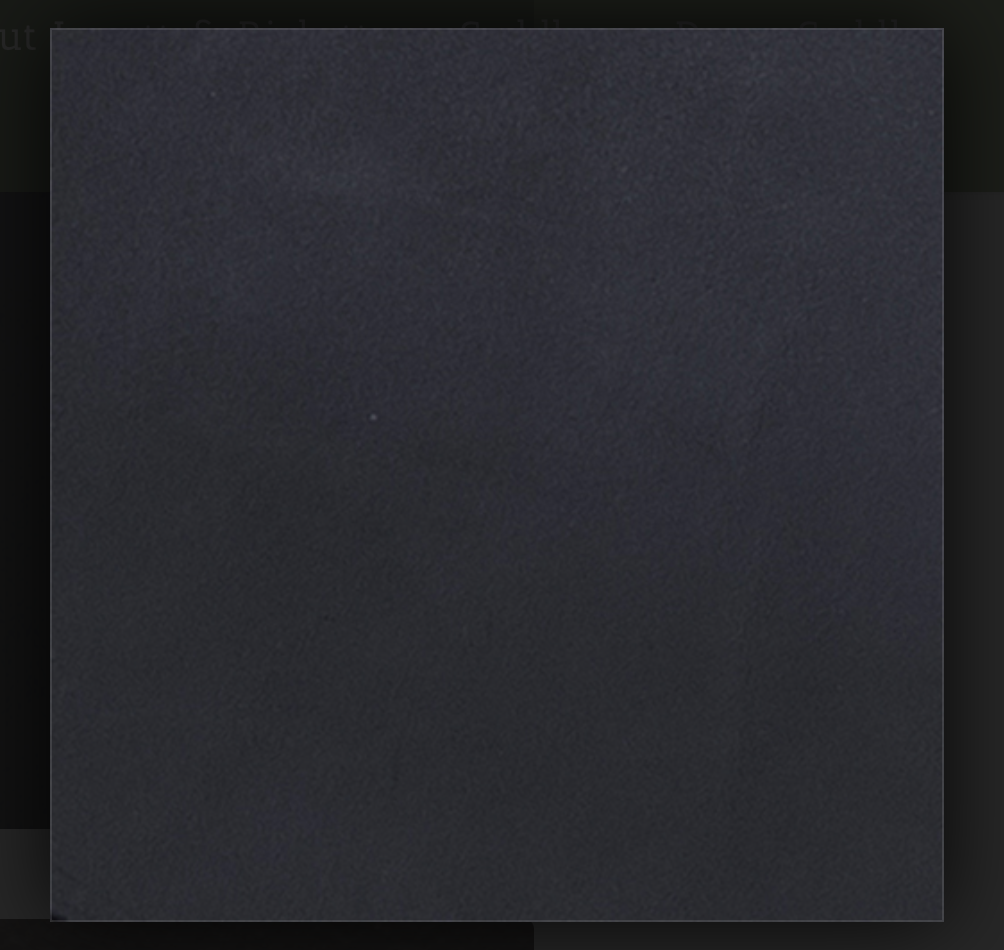 Leather Black smooth.png