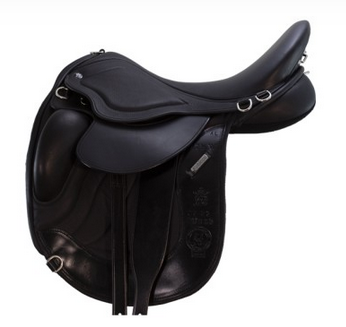 Screen Shot 2026-04-08 at 5.03.53 PM.png (Copy)