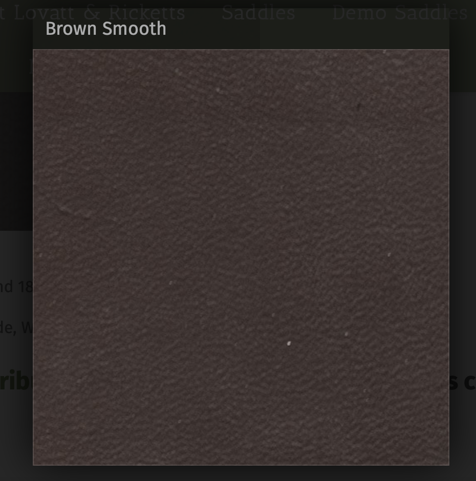 Leather Brown Smooth.png