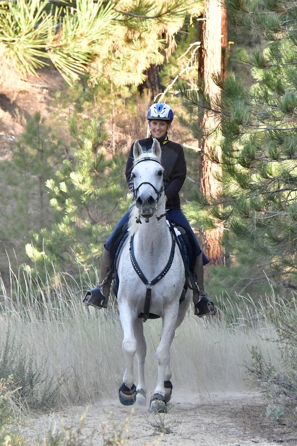 A woman riding a white horse on a trail surrounded by green pine trees, wearing a blue helmet and a black jacket.