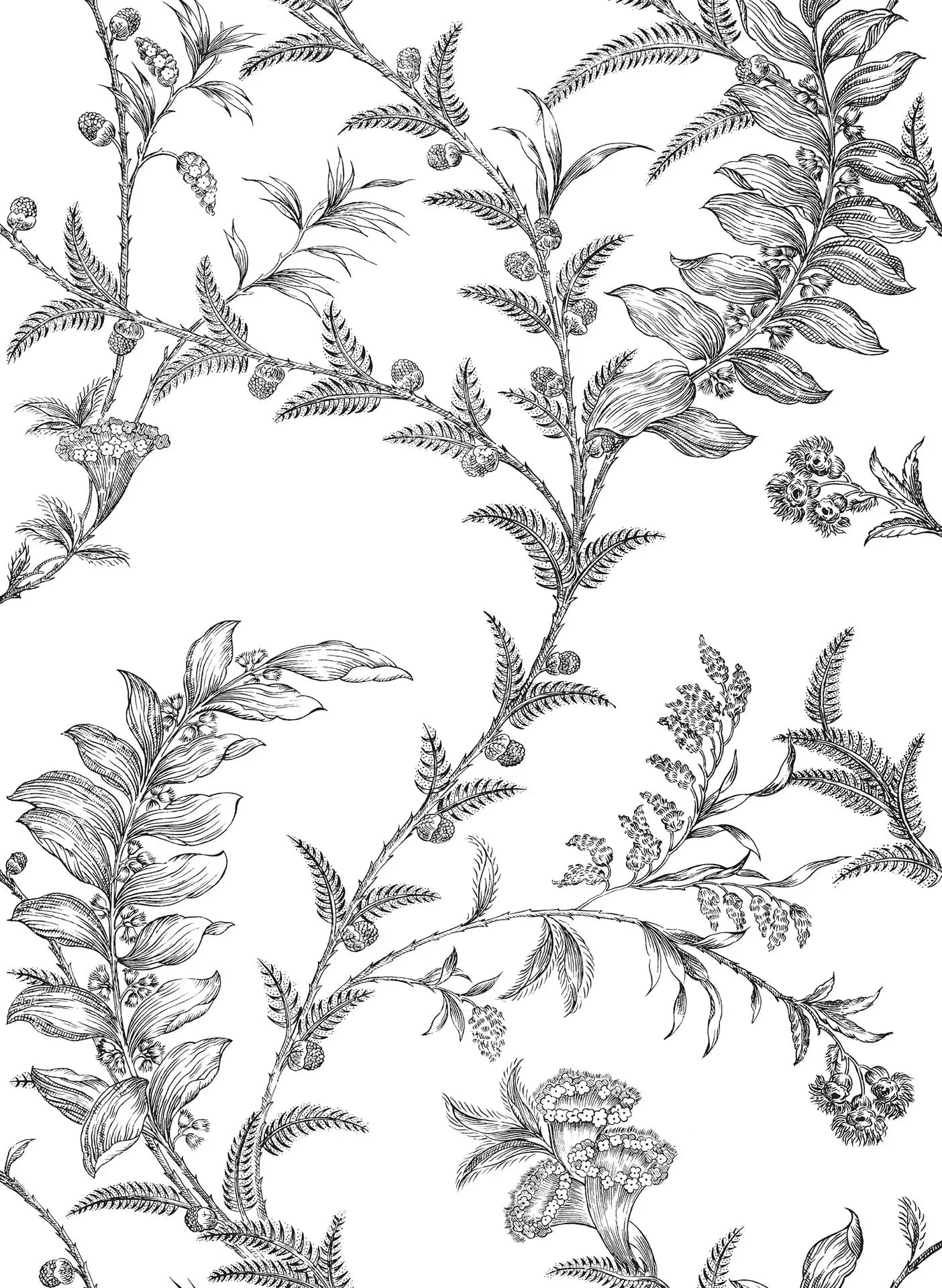 Cole & Son_Ludlow.webp