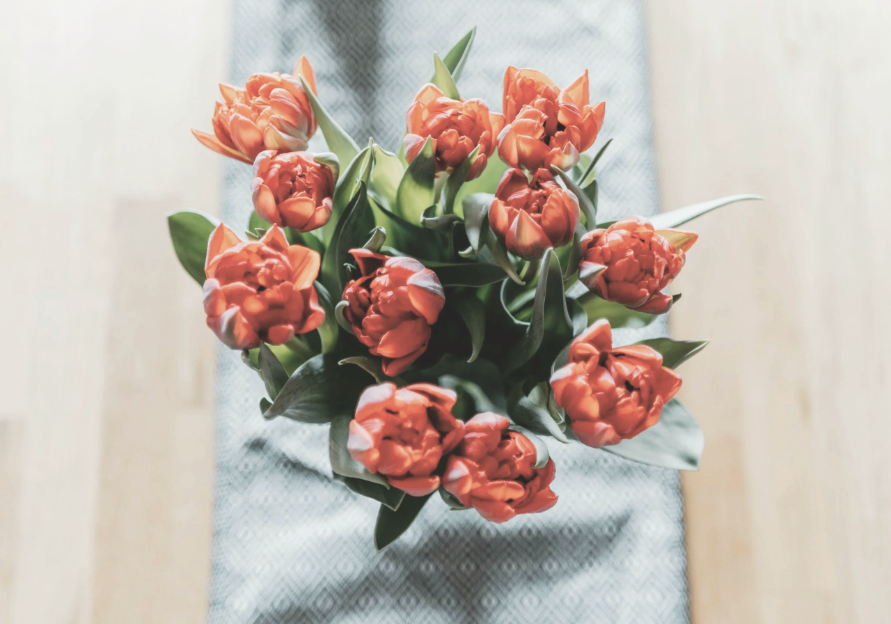 Spring Home Updates to Help You Blossom