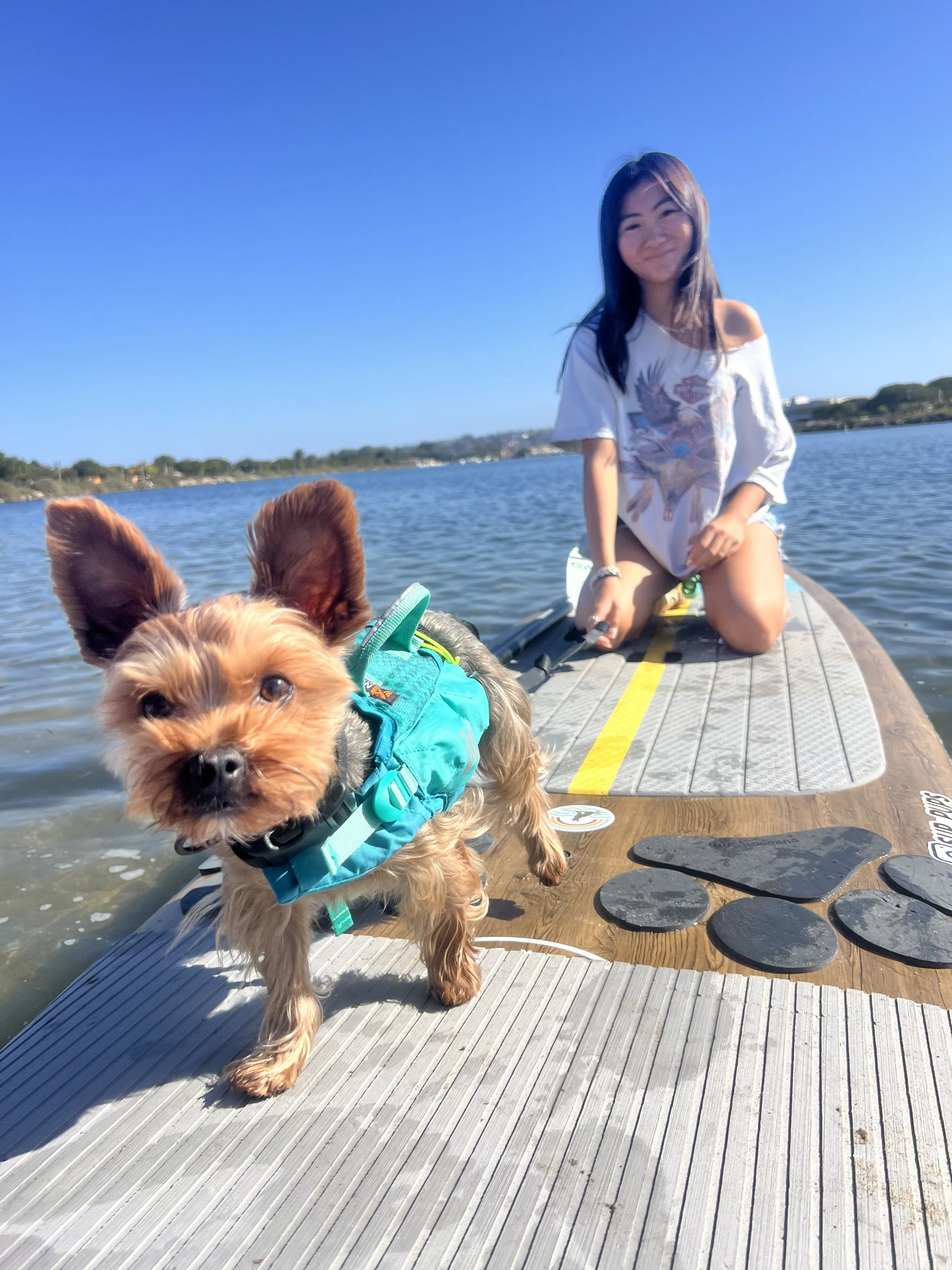 A woman and a small dog on a paddleboard in a lake on a sunny day, with clear blue skies and a distant shoreline.