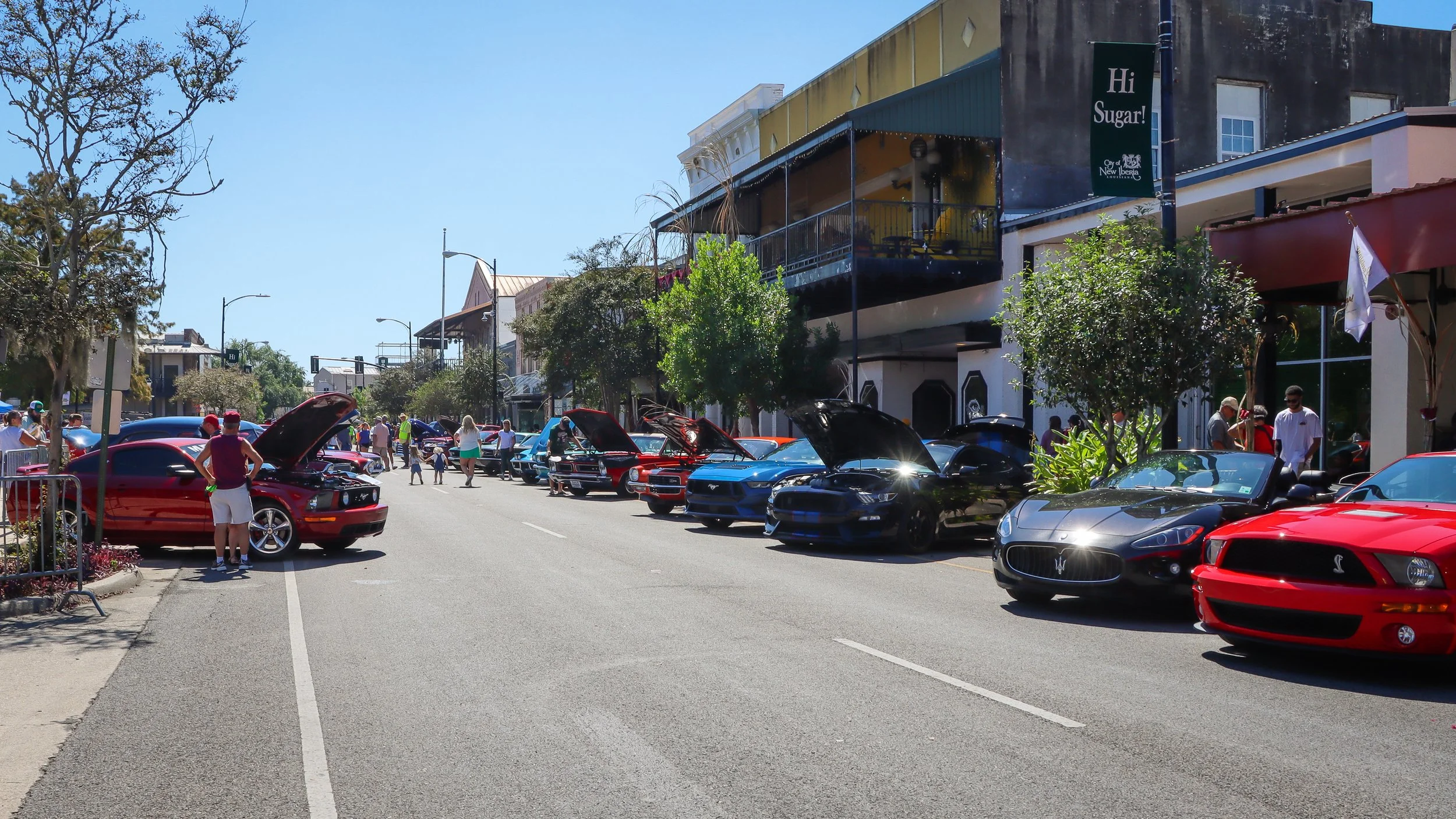 Line of parked cars with hoods open during a car show on a sunny day, with people walking and looking at the vehicles in a downtown area with buildings and trees.