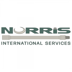 Logo for NORRIS International Services with stylized text and a curved line