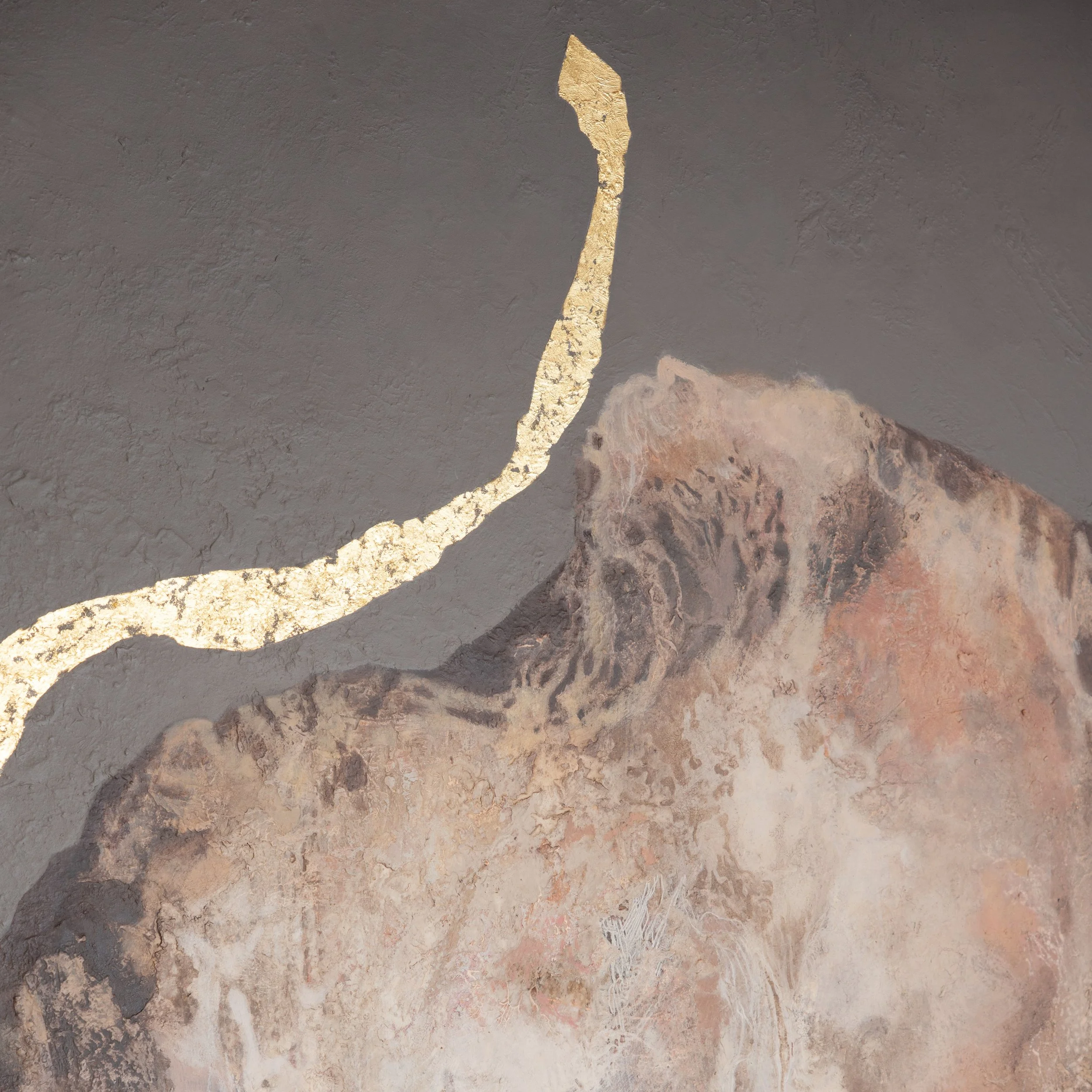 close up 1 vierkant.jpg