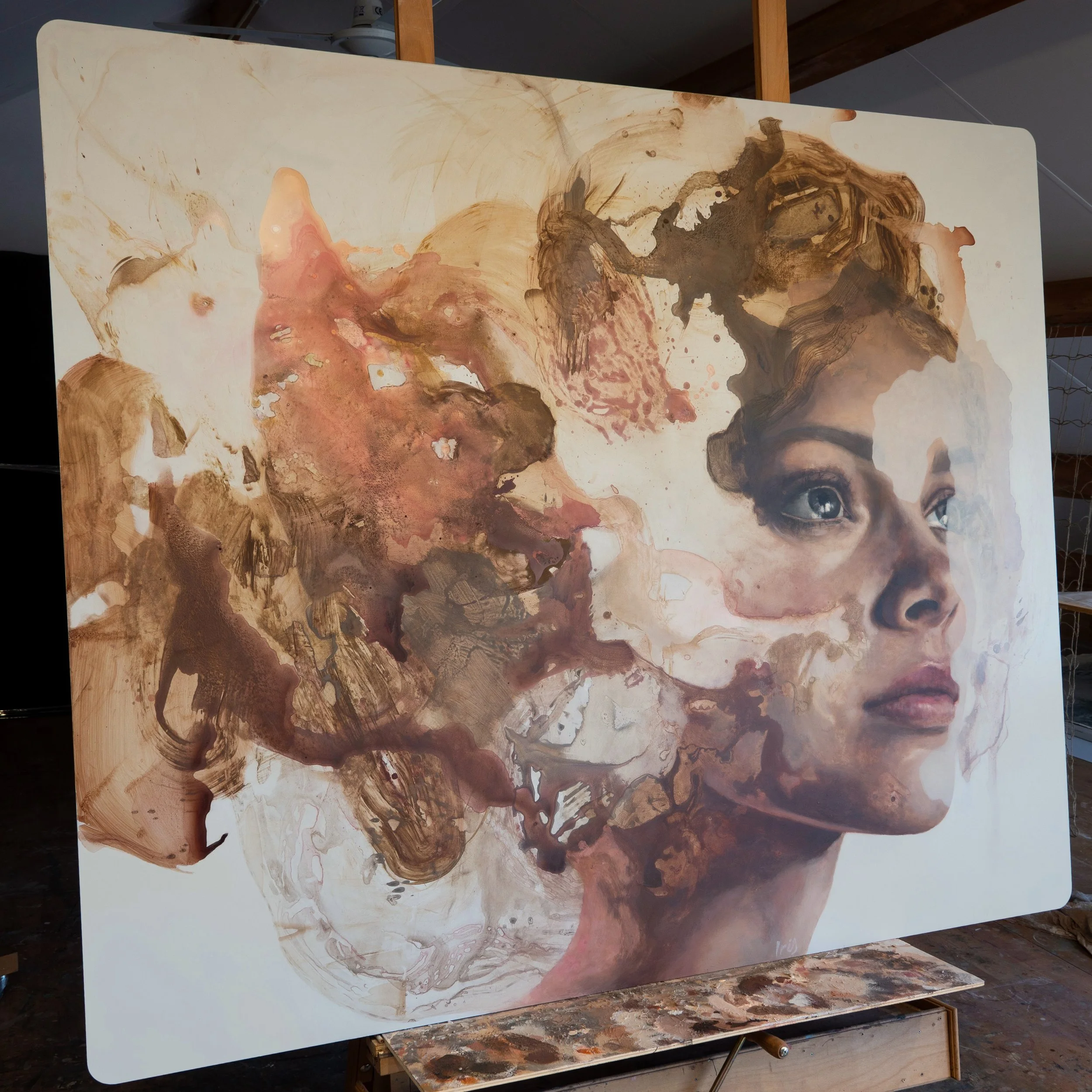 op ezel van links af.jpg