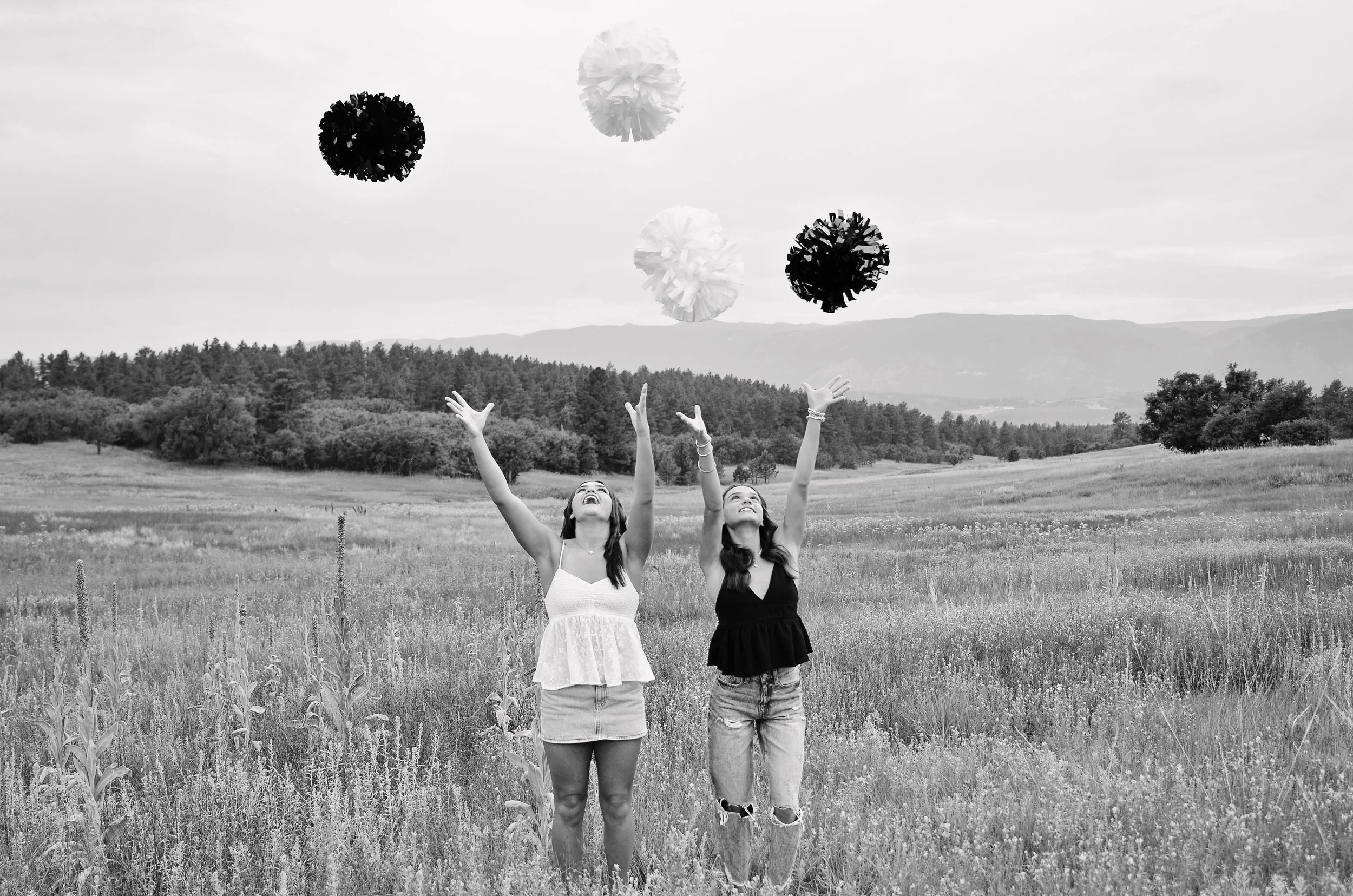 Poms BW_Heirloom.jpg