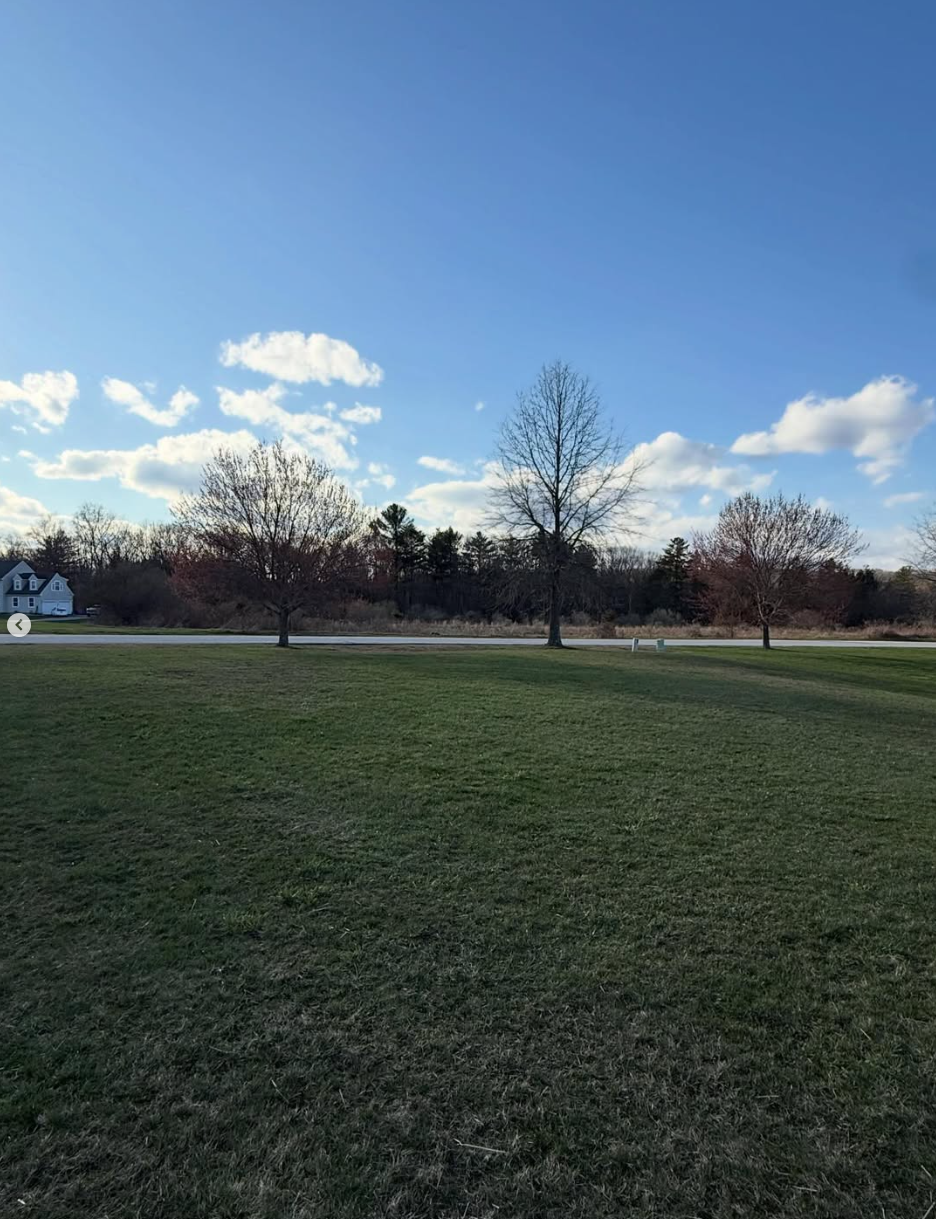 A grassy field with three leafless trees under a blue sky with scattered white clouds, and a house partially visible on the left side.