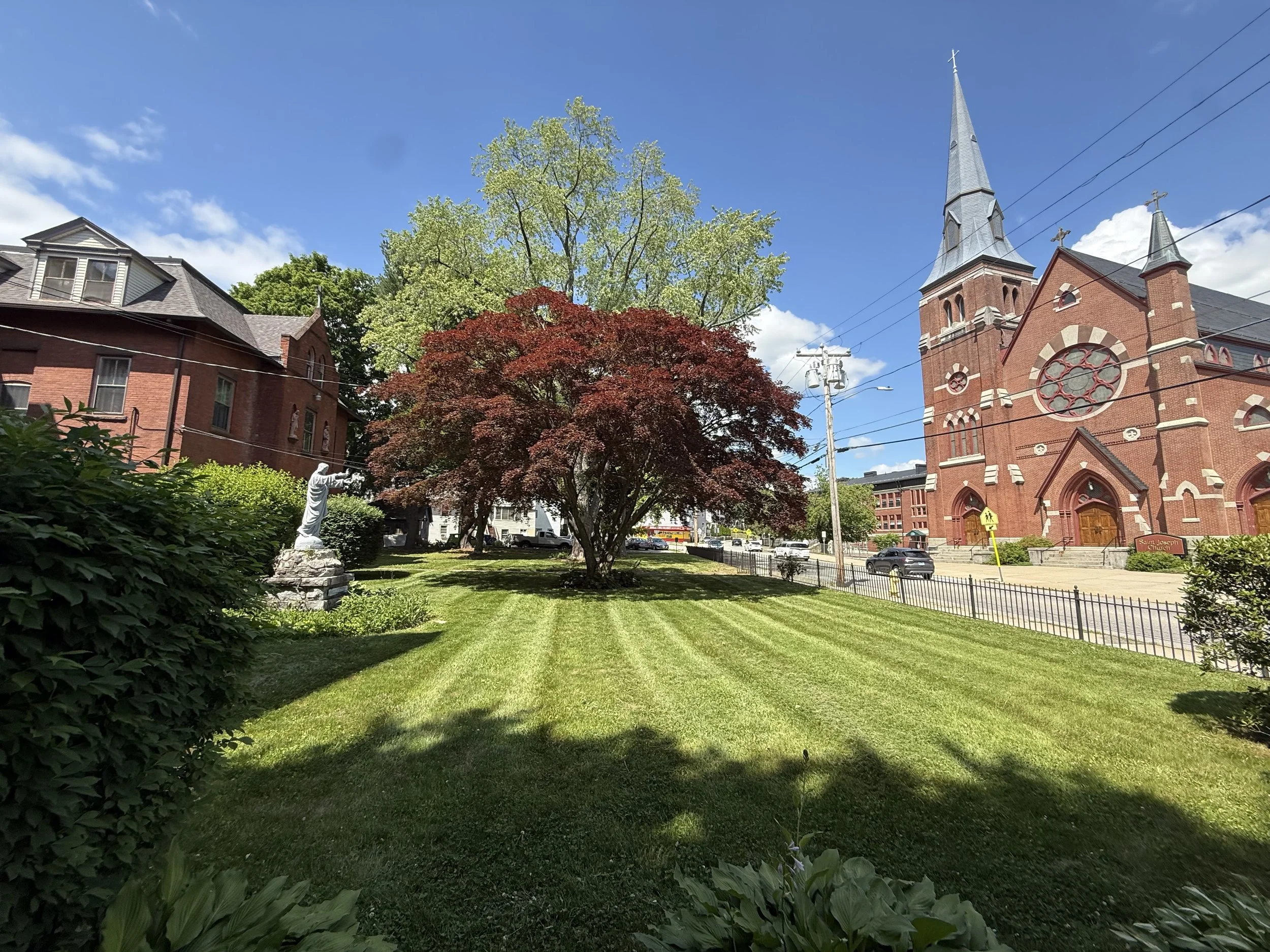 IMG_3556[1].JPG