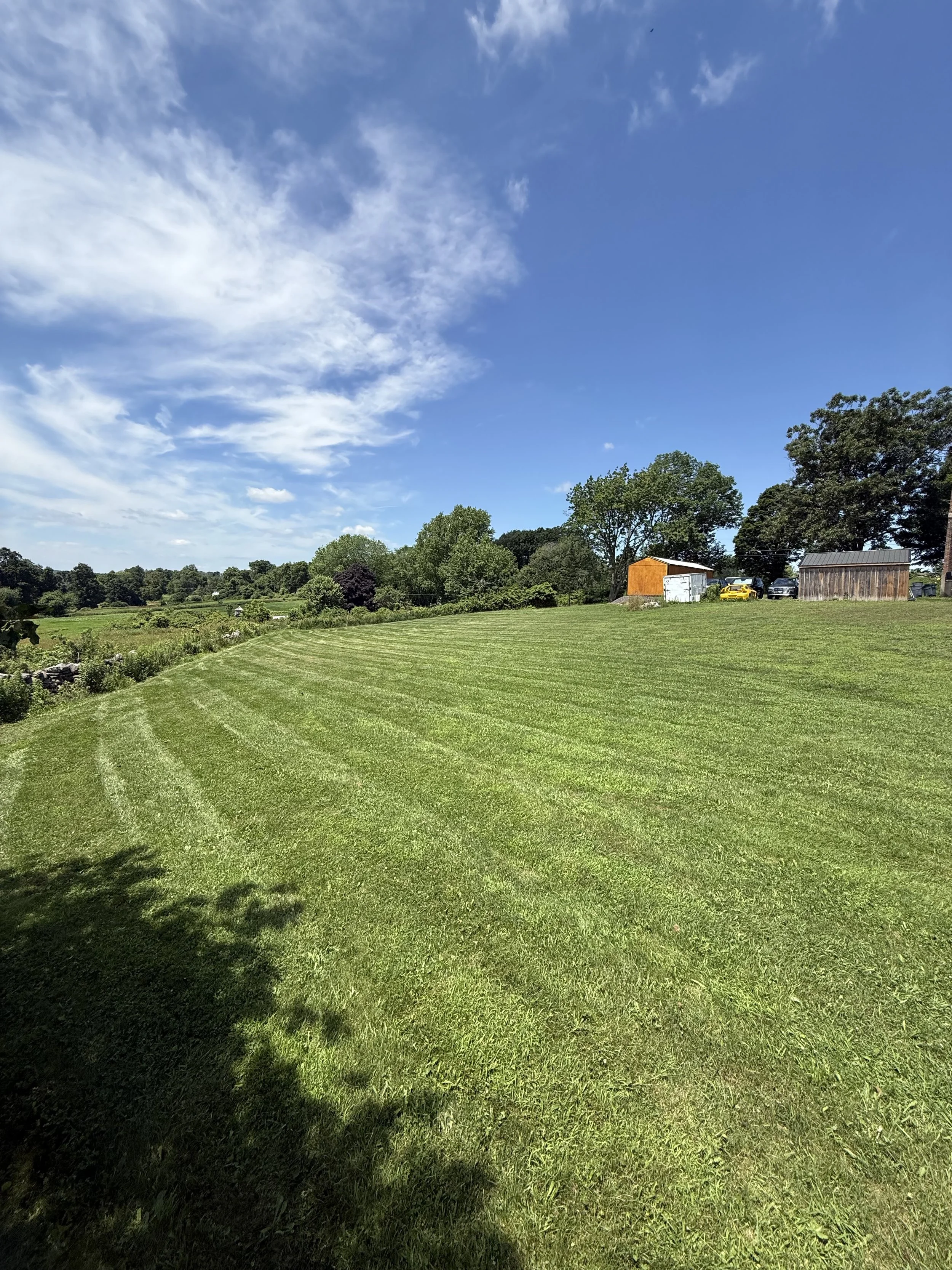 Weekly/Biweekly Lawn Mowing & Trimming