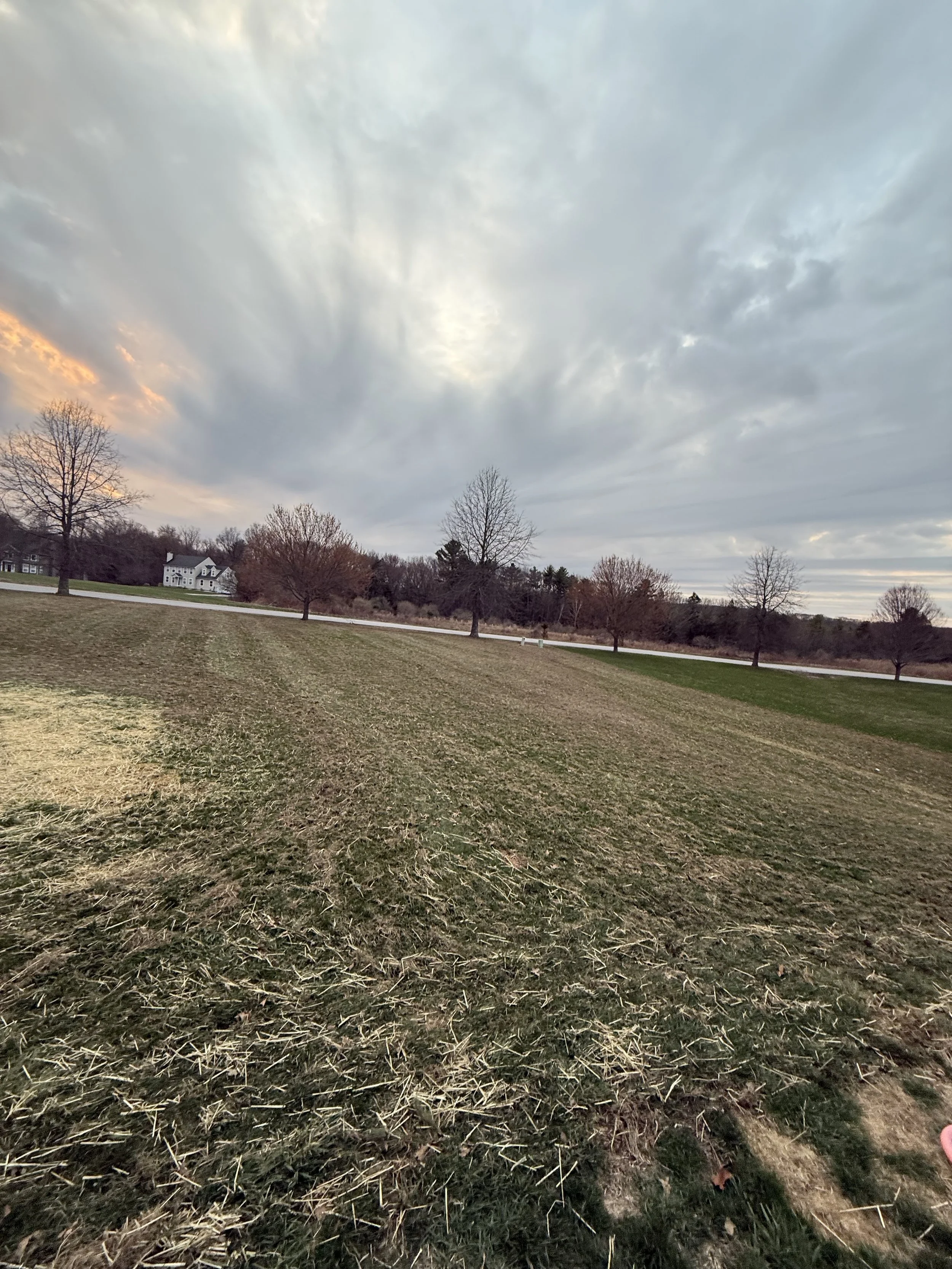 Dethatching & Aeration