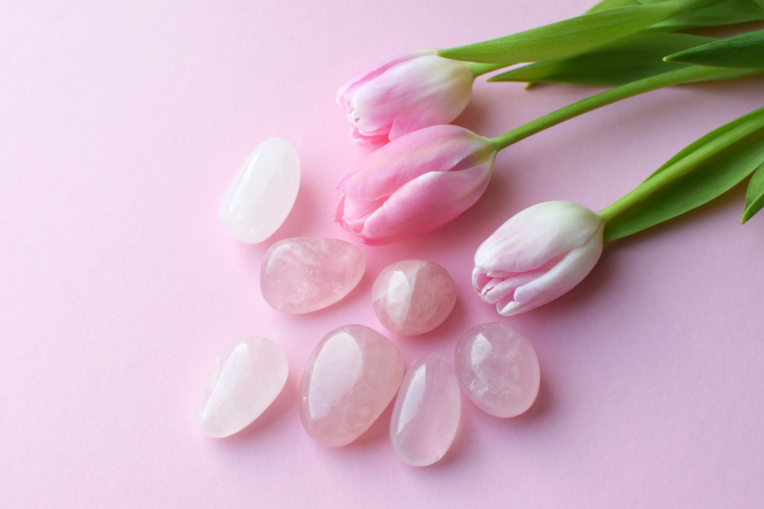 Pink tulips and rose quartz stones on a pink background.
