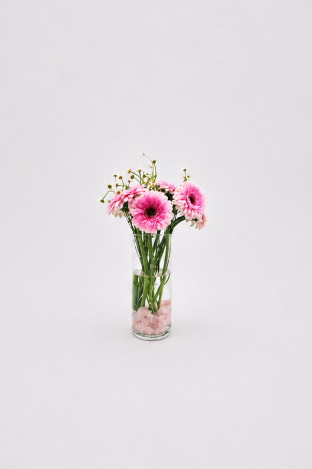 Rose Water | Rose Quartz | Full | Carey Richey Florist | Longmont, Colorado