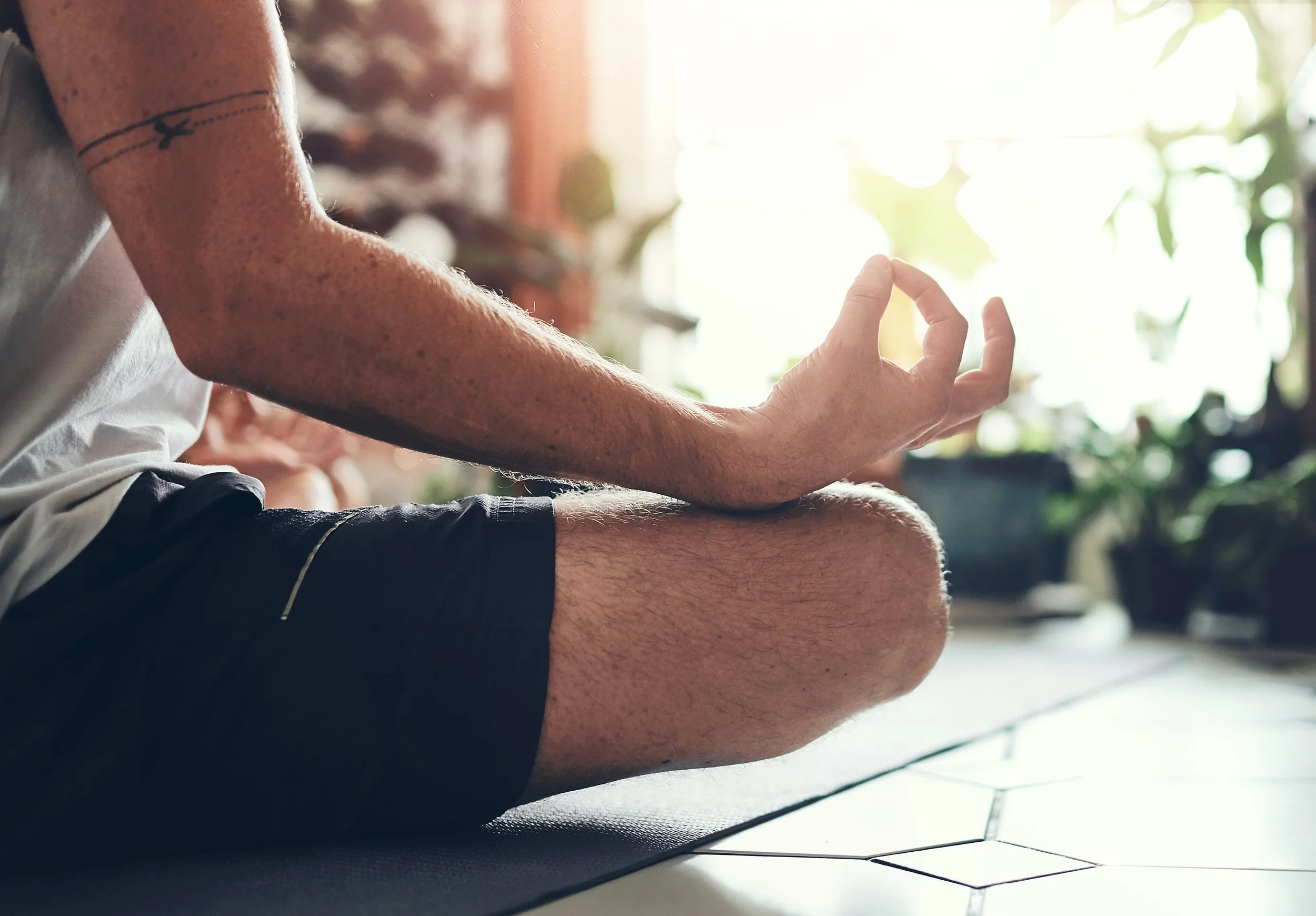 A person sitting cross-legged on the floor with an open palm gesture, the background is illuminated by sunlight through green leaves indicating a peaceful indoor setting.