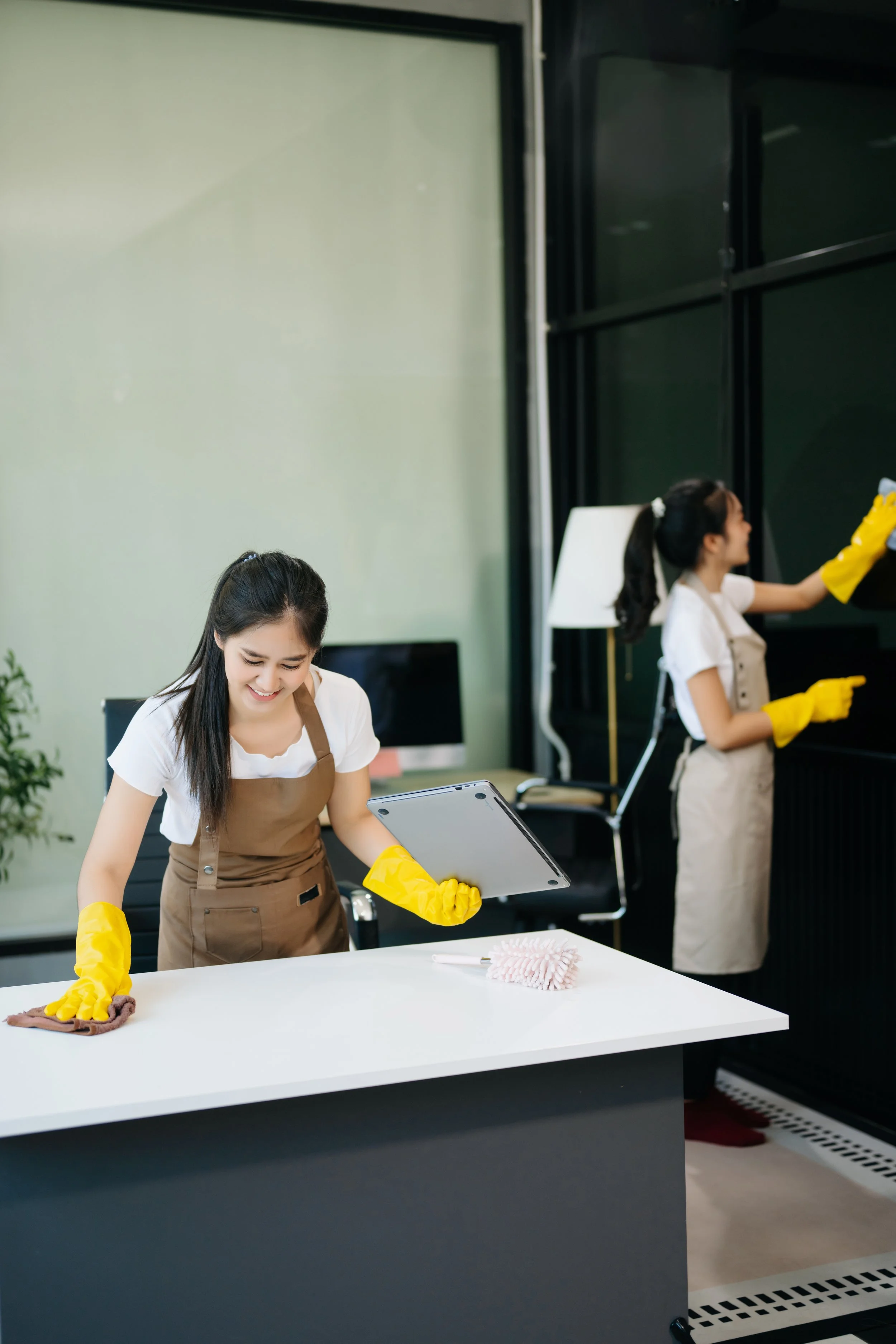 Deep Clean (Spring Clean)