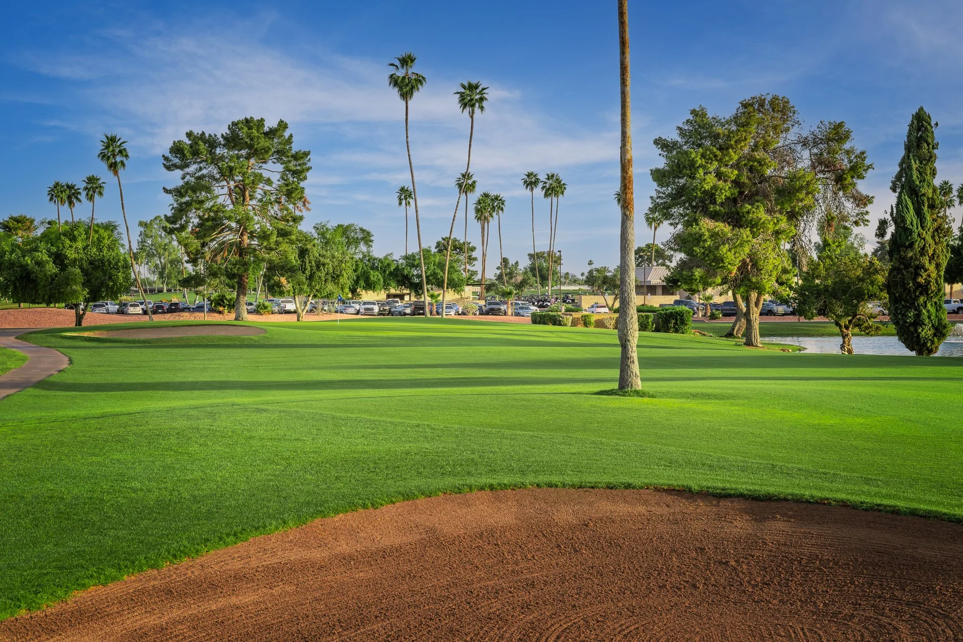 A golf course with vibrant green grass, a sand bunker in the foreground, tall palm trees, a parking lot, and a building in the background under a blue sky with some clouds. View of the 18th hole at Palmbrook Golf Club in Sun City, Arizona.