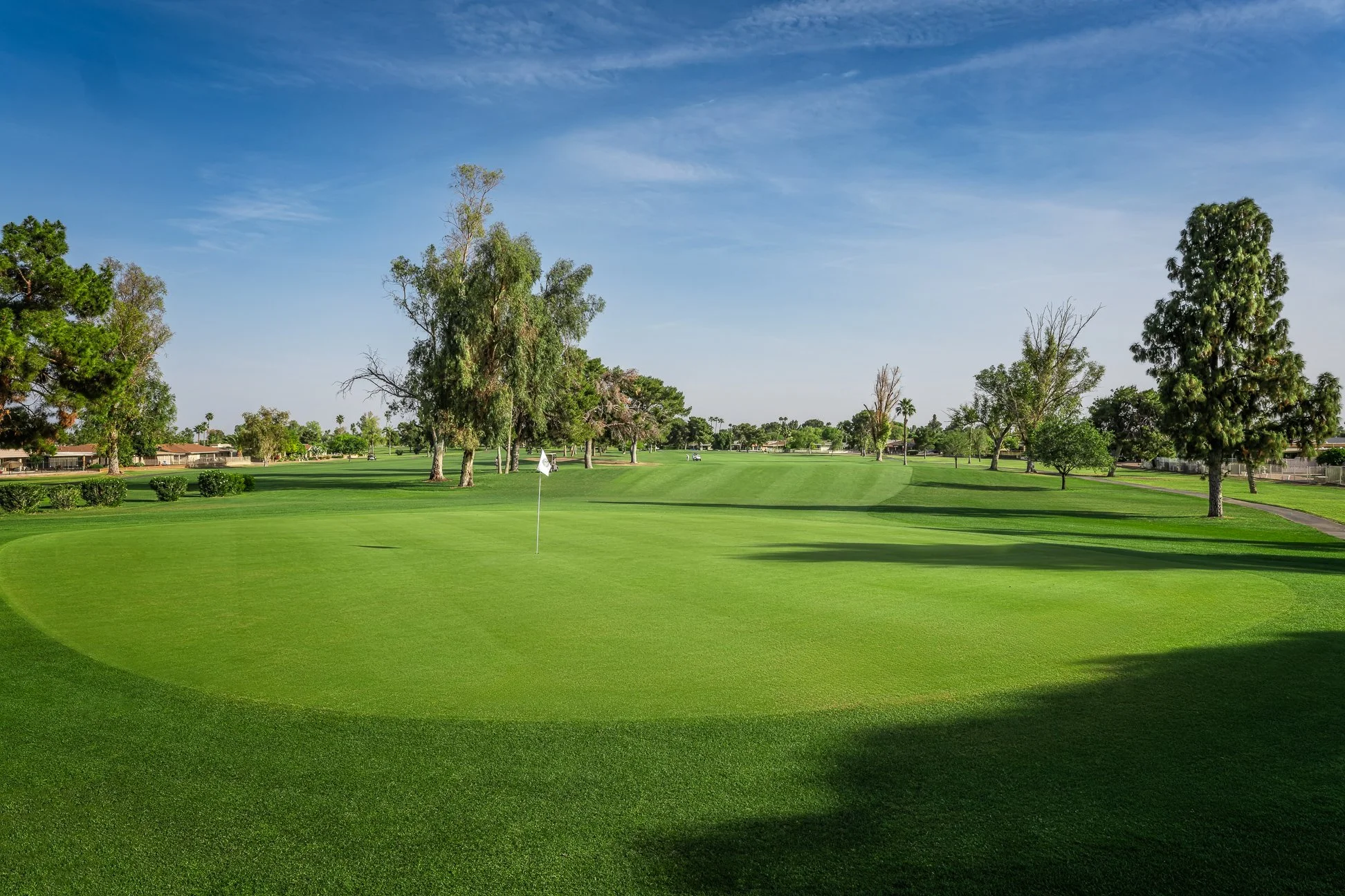 A golf course with a putting green, a white flag, and mature trees under a blue sky on the 3rd hole at Palmbrook Golf Club in Sun City, Arizona.