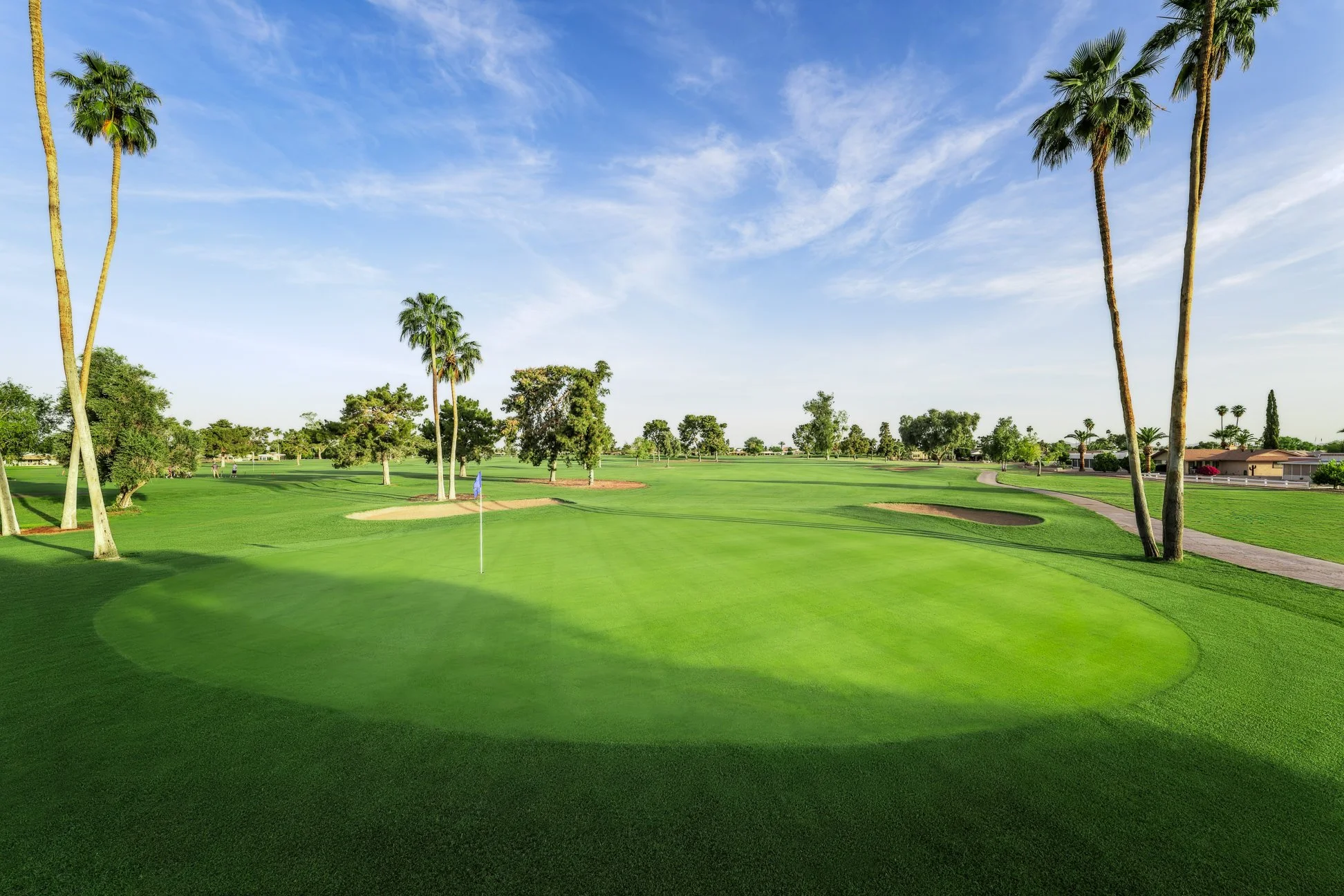 A golf course with a putting green, several palm trees, and a blue flag in the hole under a partly cloudy sky. View of the 9th hole at Palmbrook Golf Club in Sun City, Arizona.