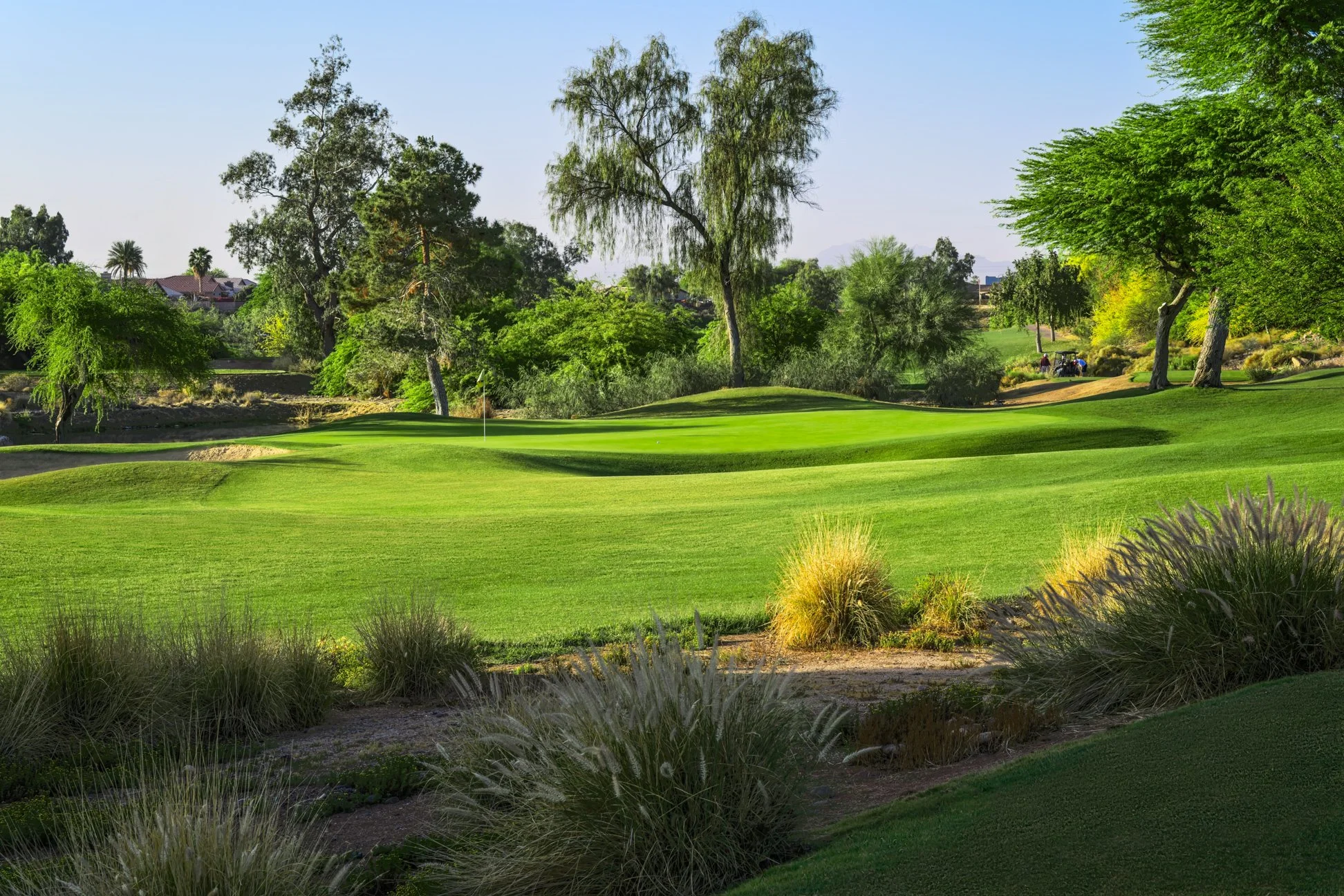 A lush golf course with well-manicured green grass, various trees, and shrubs under a clear blue sky, with some houses and people playing golf in the background.