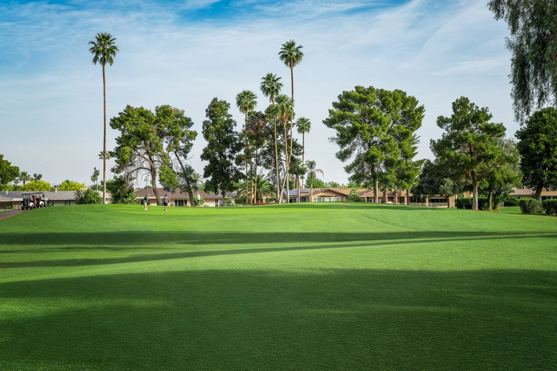 Golf course with players, surrounded by tall palm and pine trees, under a blue sky on the 3rd hole at Palmbrook Golf Club in Sun City, Arizona.