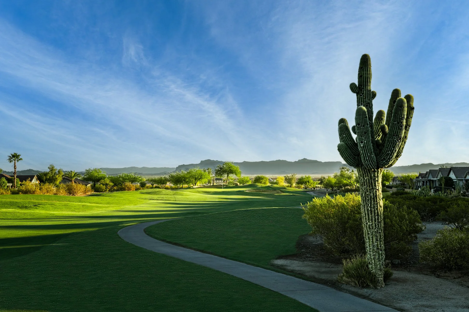 A view of a saguaro cactus on the 14th hole at San Tan Highlands Golf Club in San Tan Valley, Arizona.