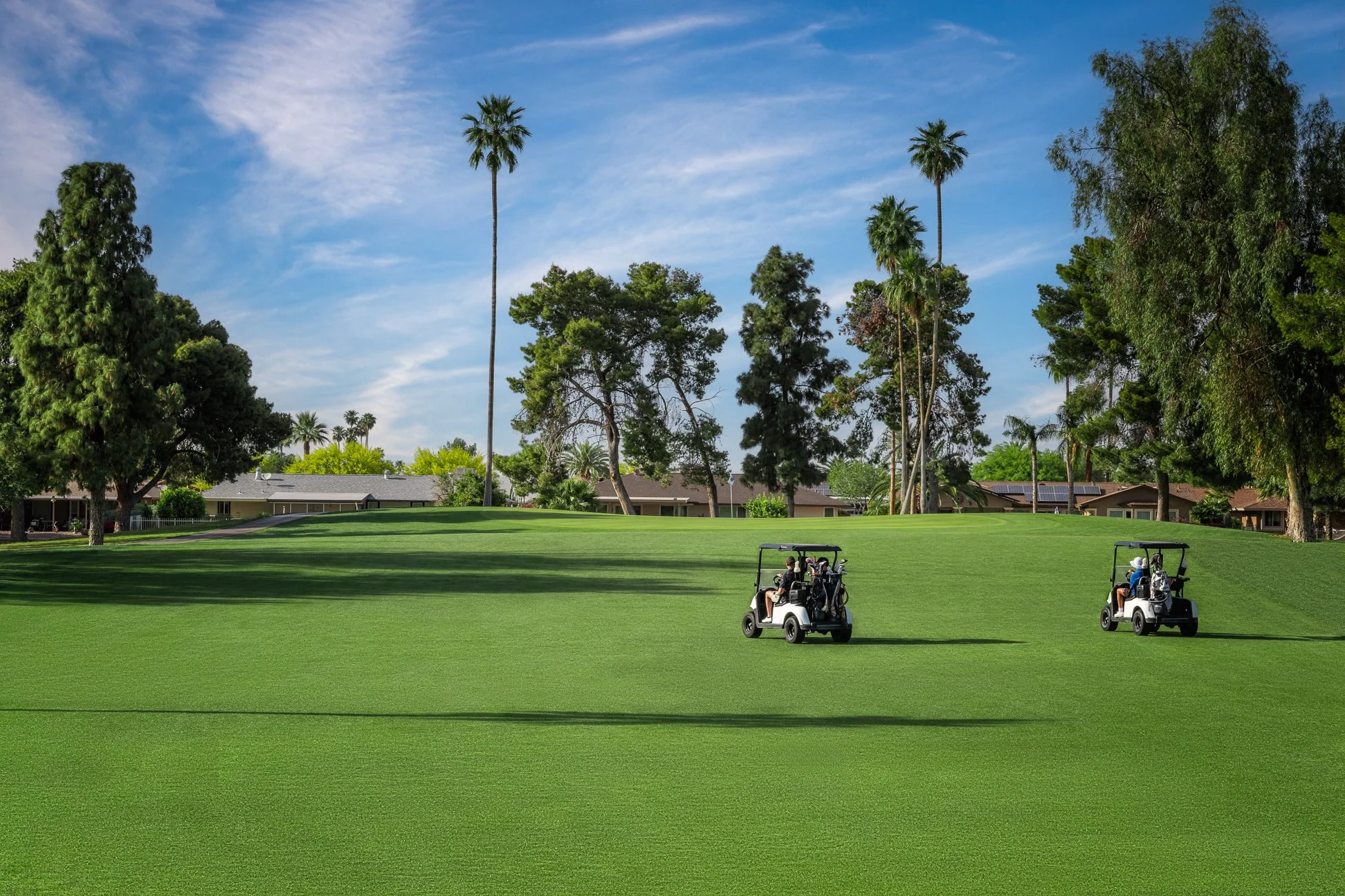 View of two golf carts on the 3rd hole of Palmbrook Golf Club in Sun City, Arizona.
