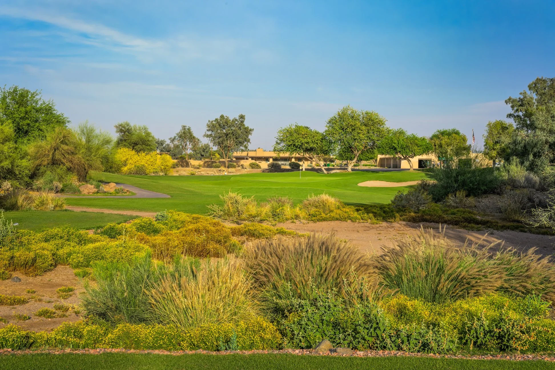 A scenic view of the desert landscape at Coyote Lakes Golf Club in Surprise, Arizona.