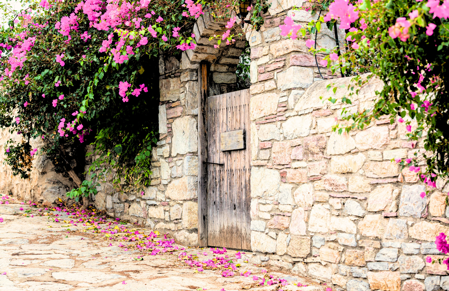 A rustic stone wall with a wooden door, adorned with pink flowering plants and leaves, with petals scattered on a stone pathway.