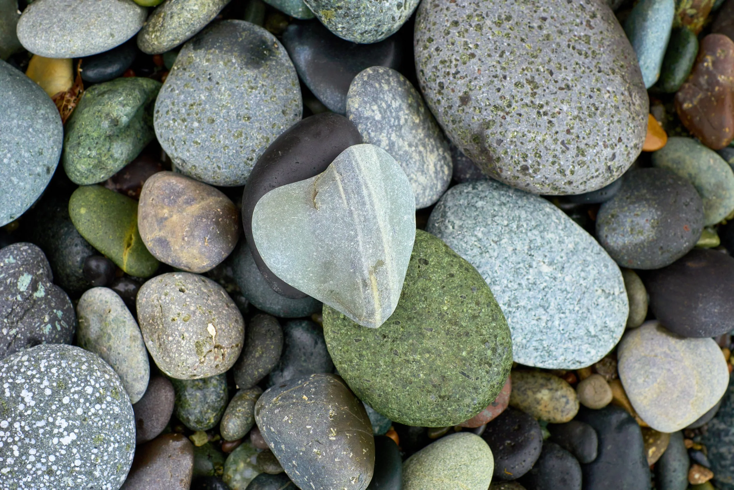 AdobeStock_526572073.jpeg
