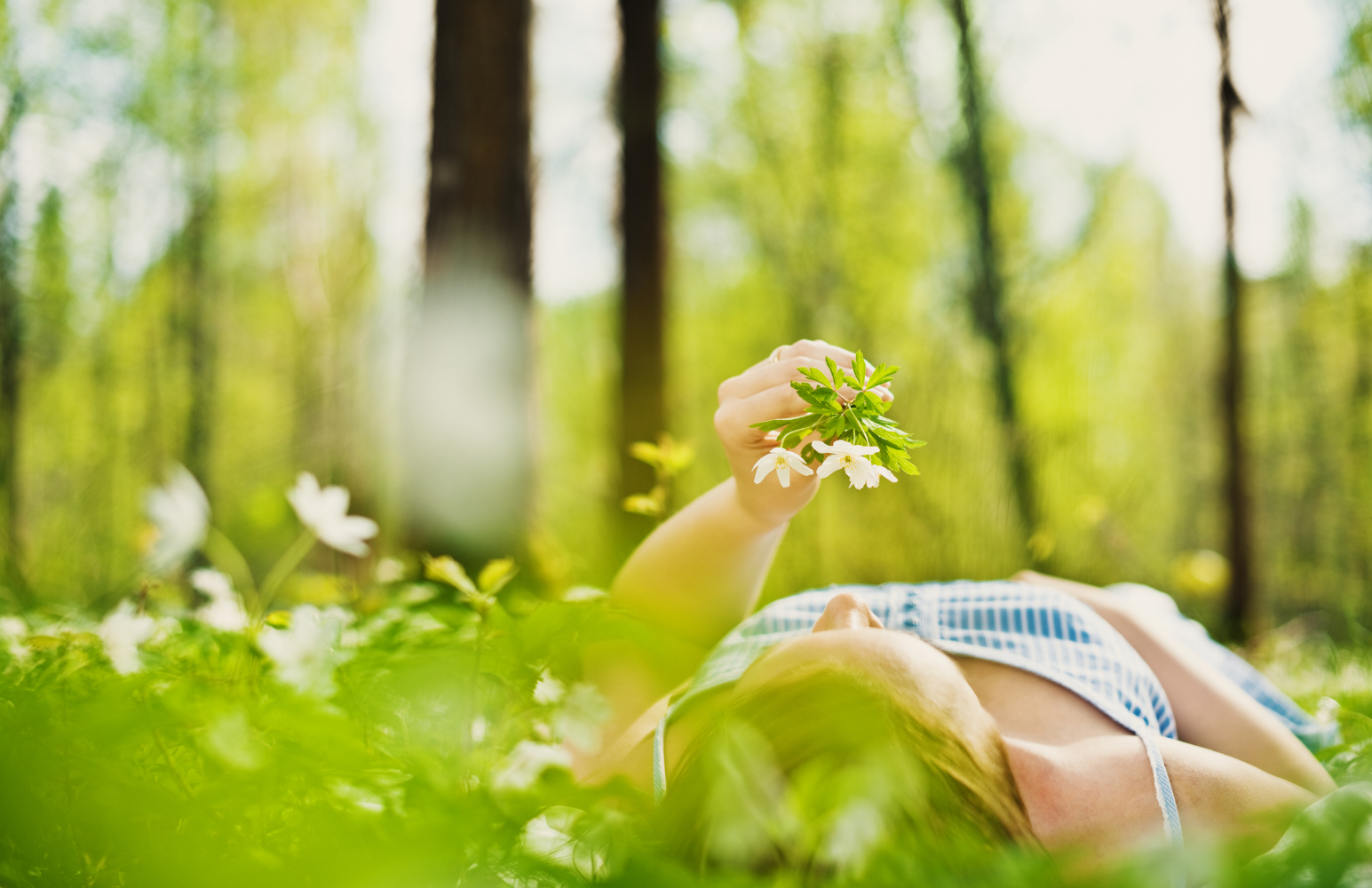 A person lying down in a forest, holding a small branch of green leaves and white flowers, with tall trees and sunlight filtering through the leaves in the background.