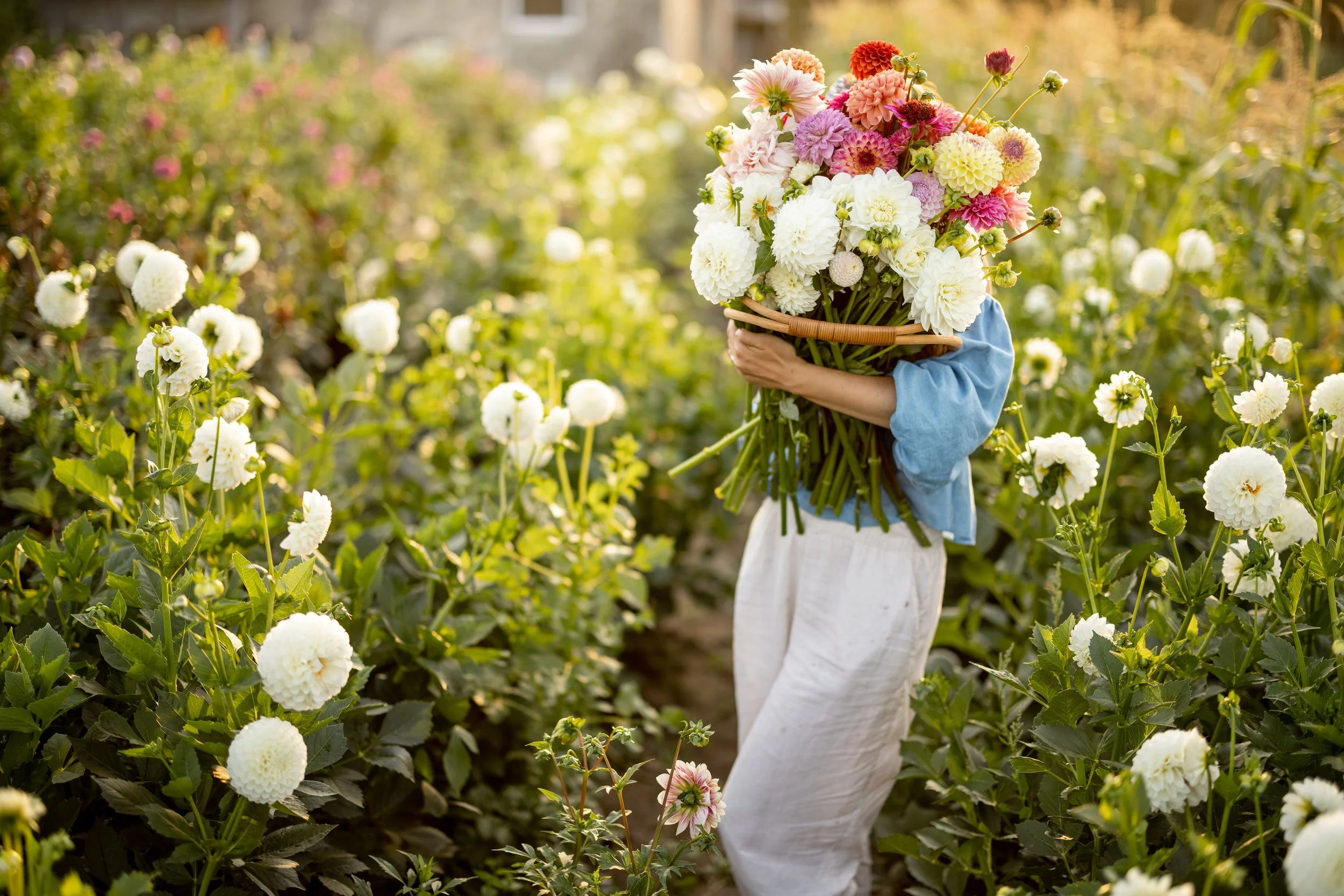 Person holding a large basket of colorful flowers in a flower garden.