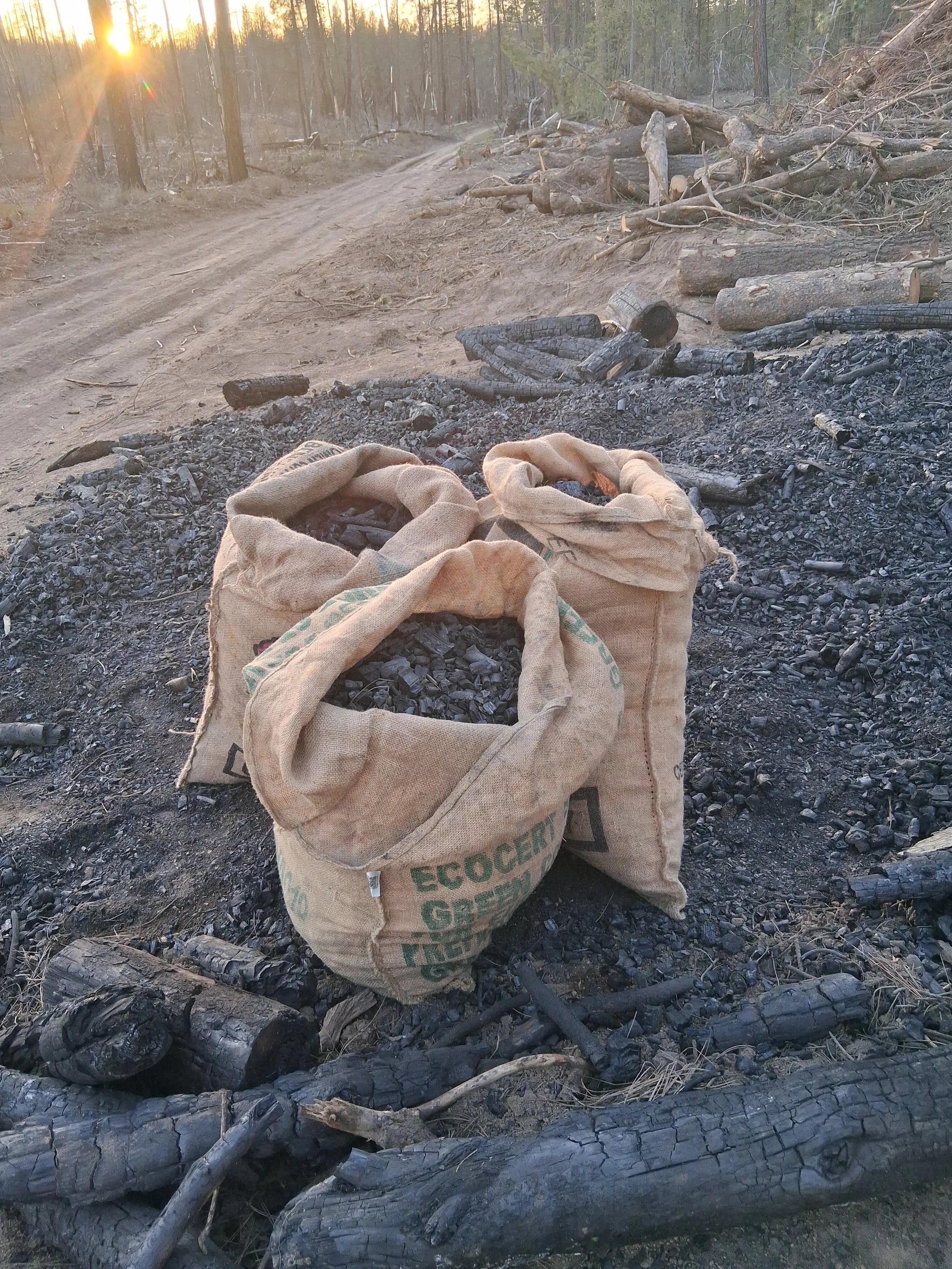 Organic Biochar - 5 gallons