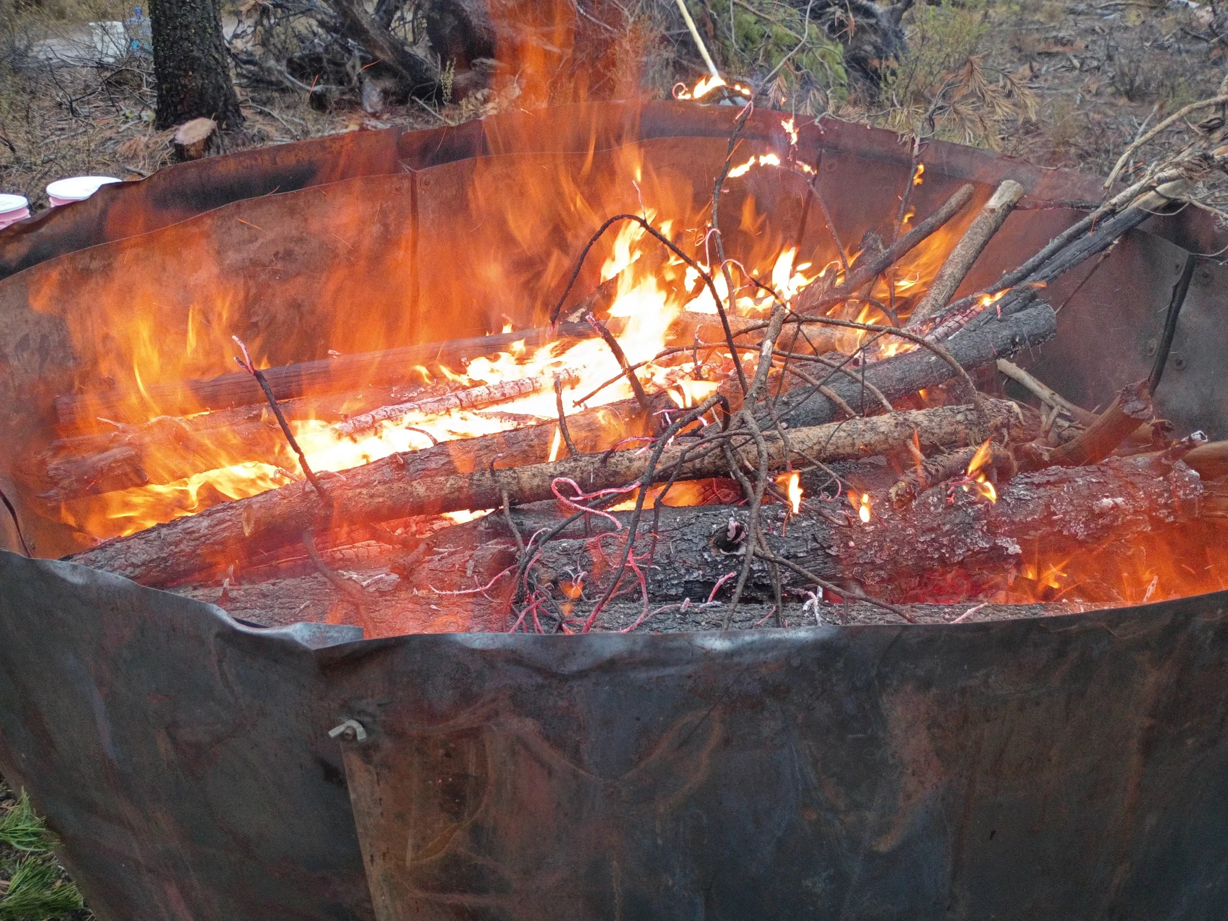 Innoculated Biochar - 5 gallons