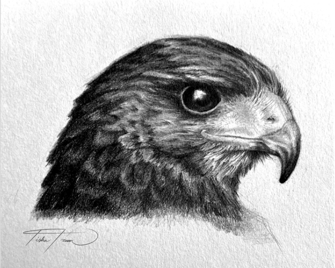 Graphite