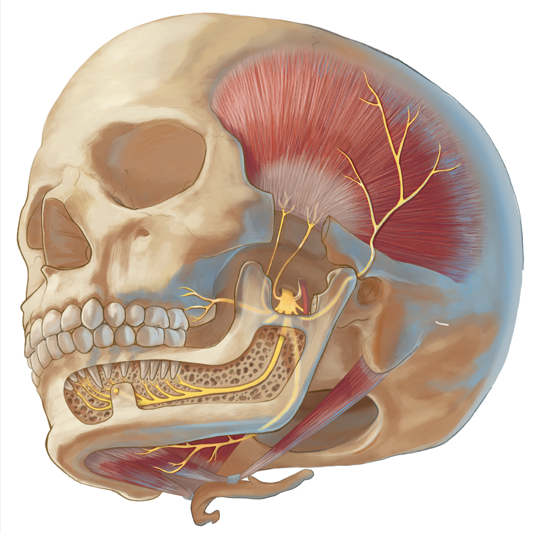 Neurology Poster