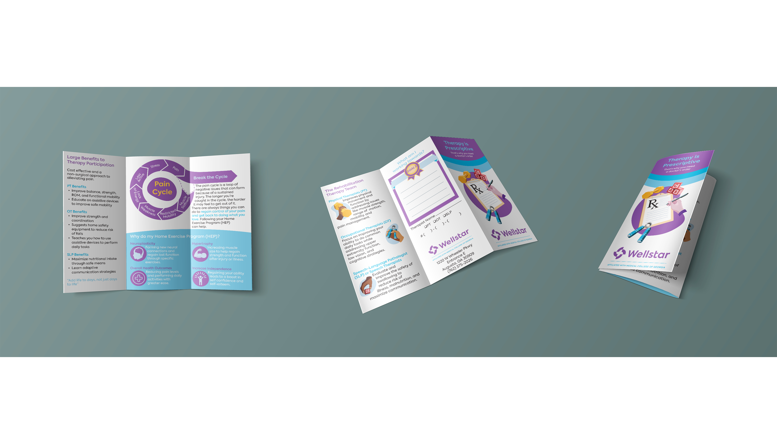 mockup 3 brochure.png