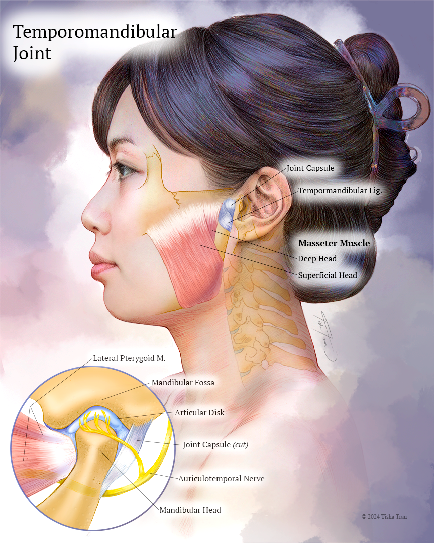 Face & cervical signature info DPI 72.png