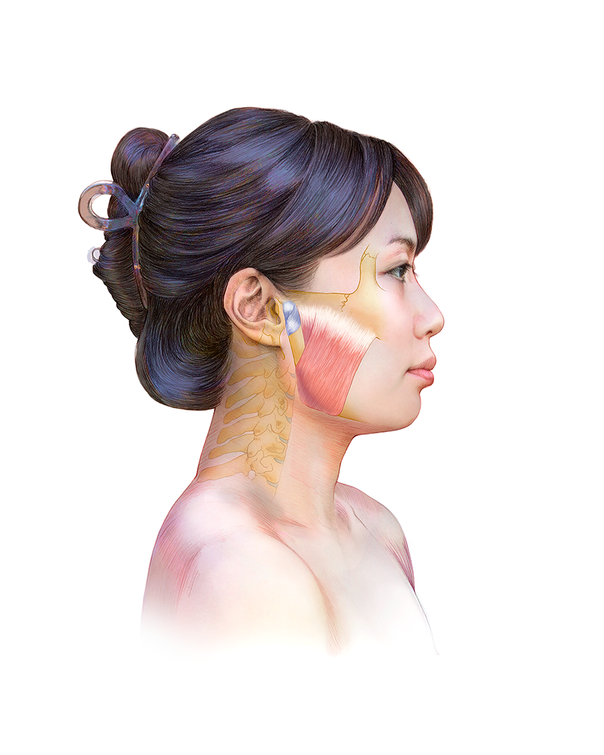 Face and Cervical