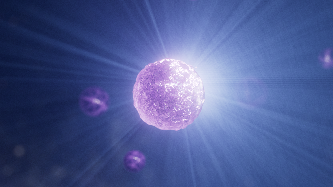 Cellular Apoptosis