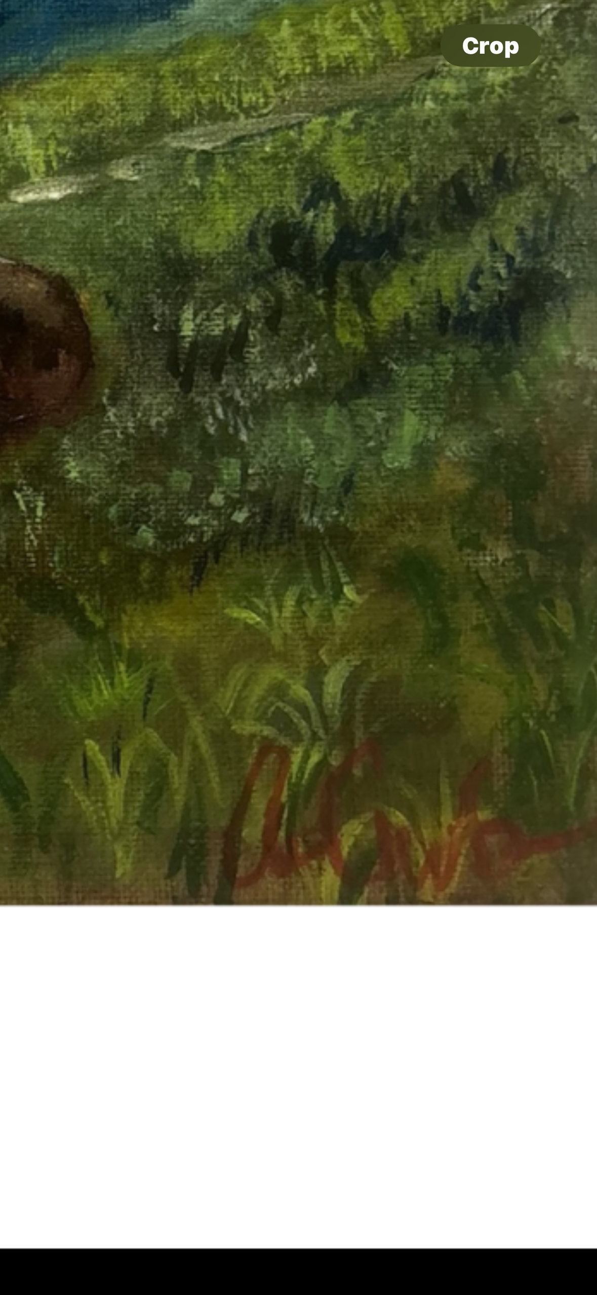 IMG_8647.png