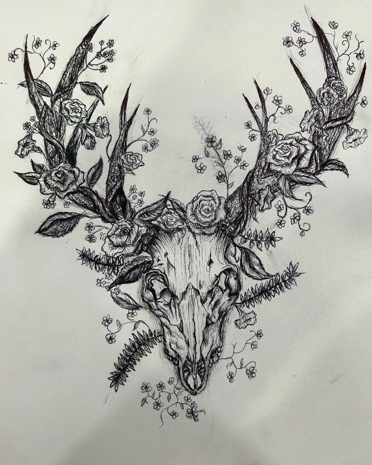 A detailed black ink drawing of a deer skull with antlers that are intertwined with flowers, leaves, and small sprigs.