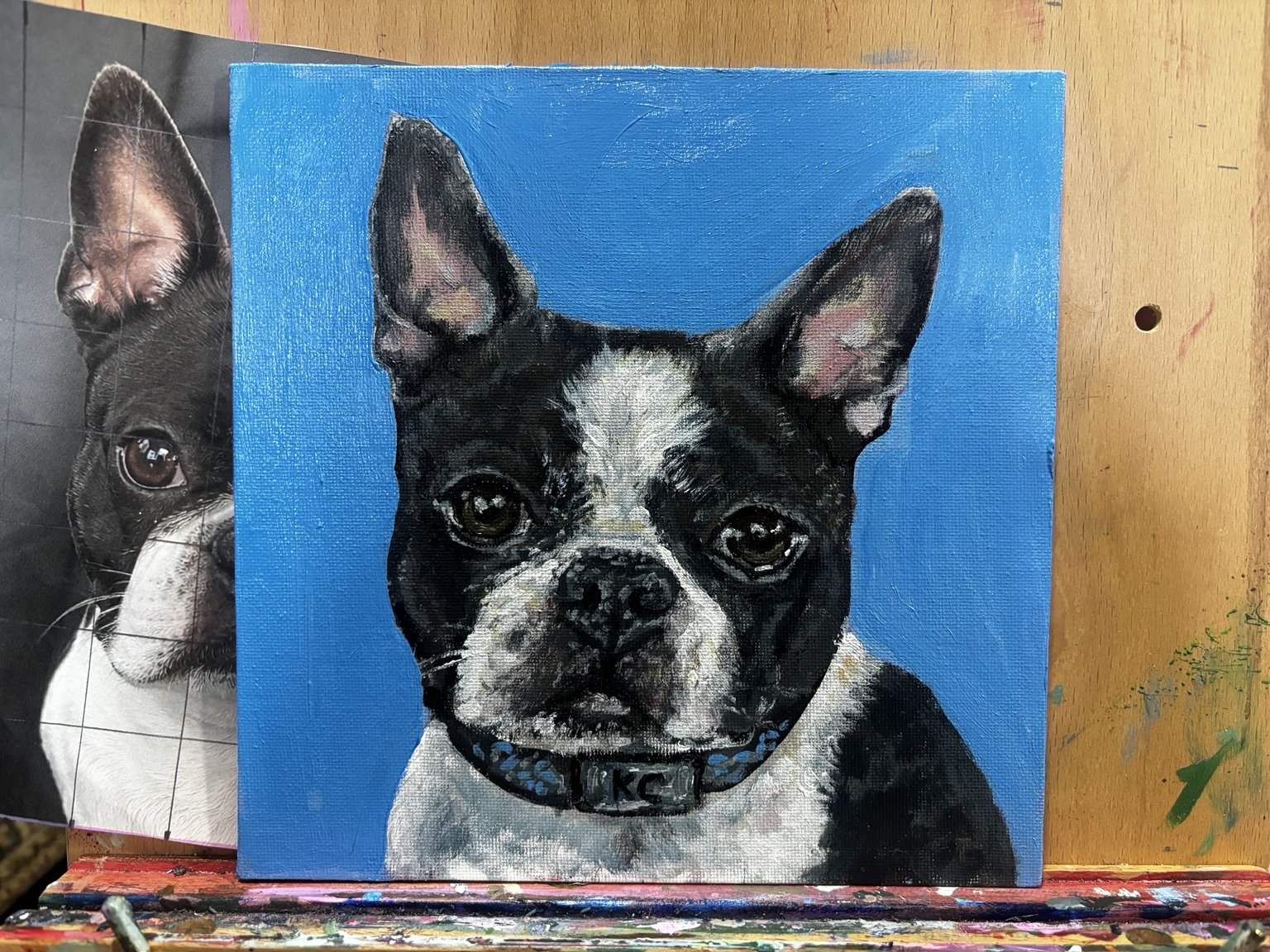 Painting of a Boston Terrier dog with black, white, and gray fur, large ears, and a collar on a blue background.