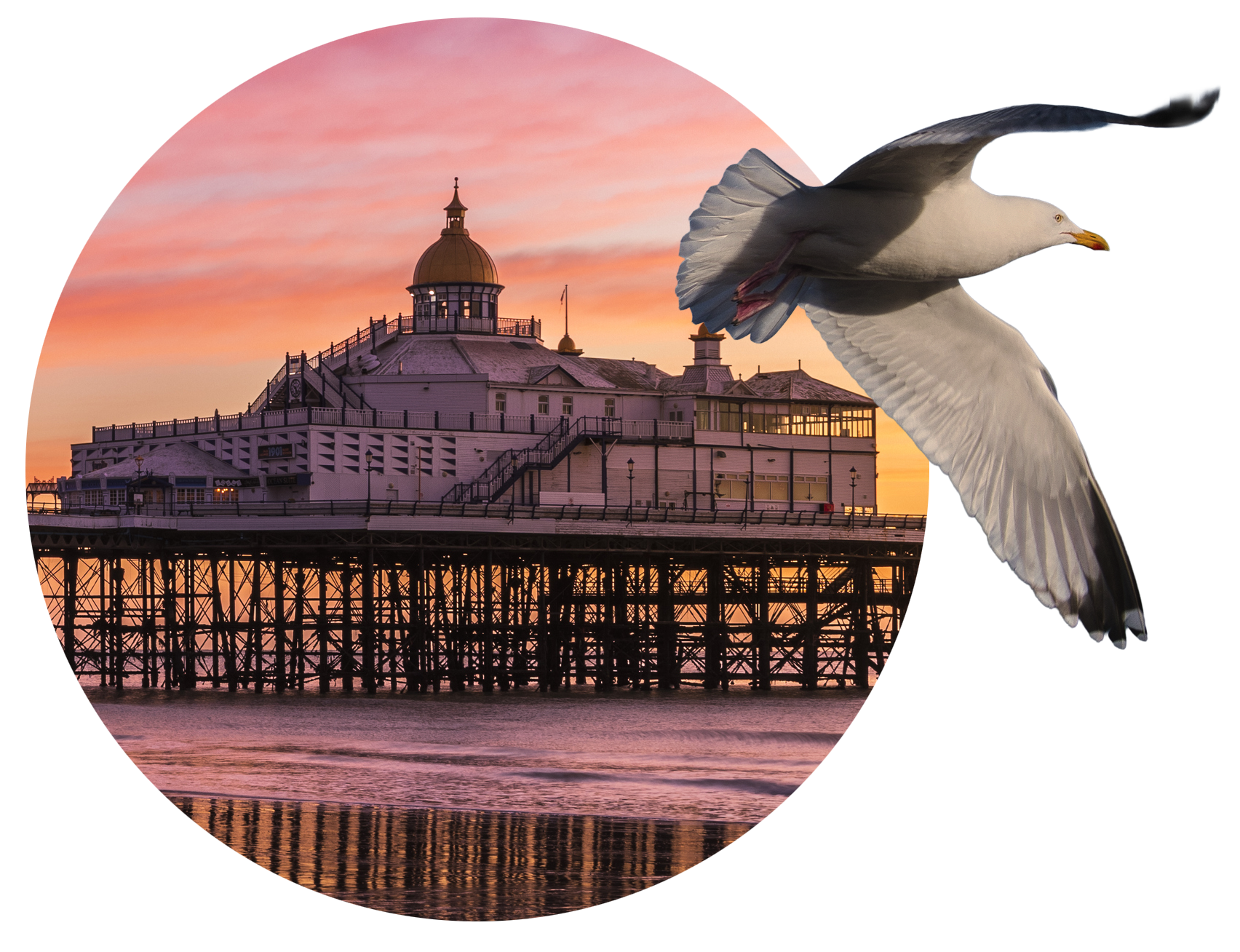 A seagull flying in front of a pier at sunset with a pink and orange sky.