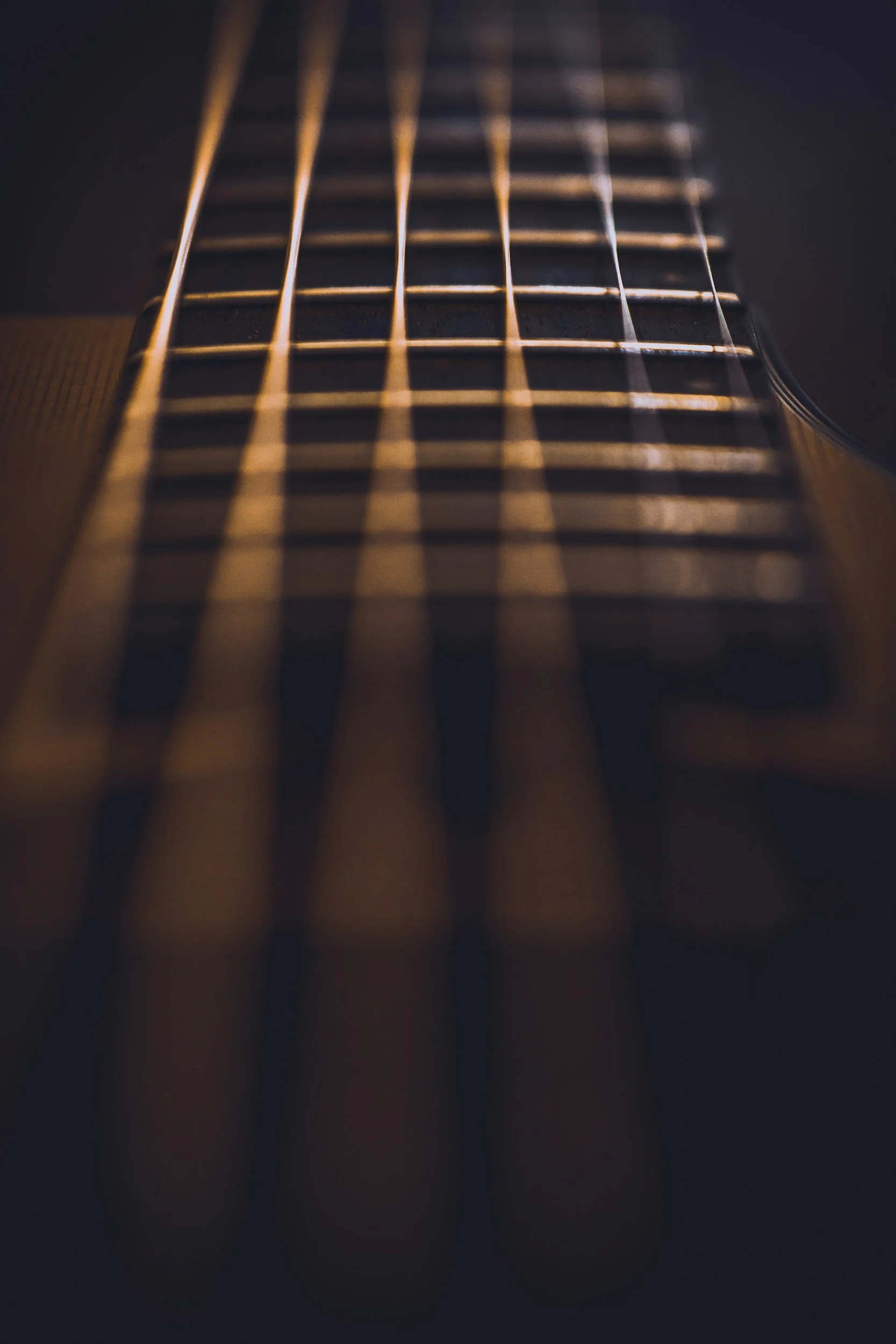 Close-up of a guitar neck with strings and fretboard, taken from an angle.