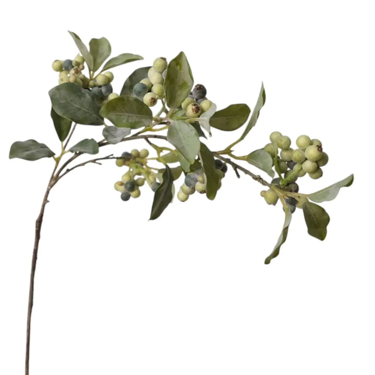34.5" Designer's Pick Frosty Berry Spray (Frosty Green)