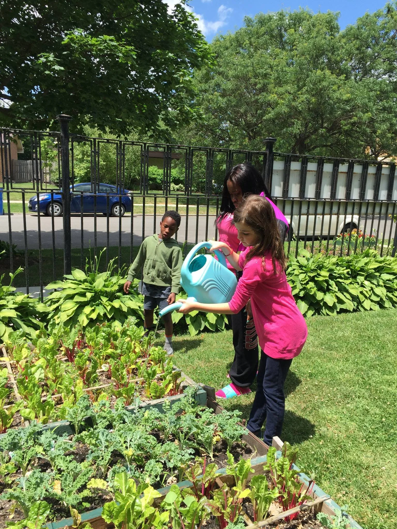 Ellis Avenue Church Community Garden